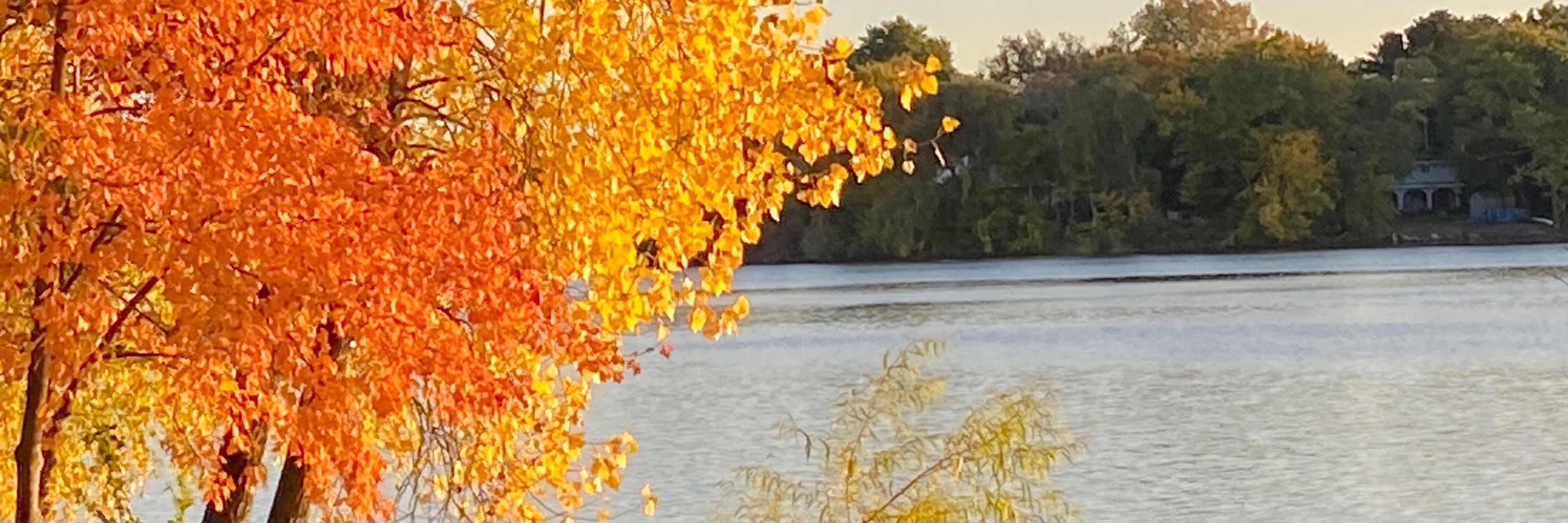 Pbeau