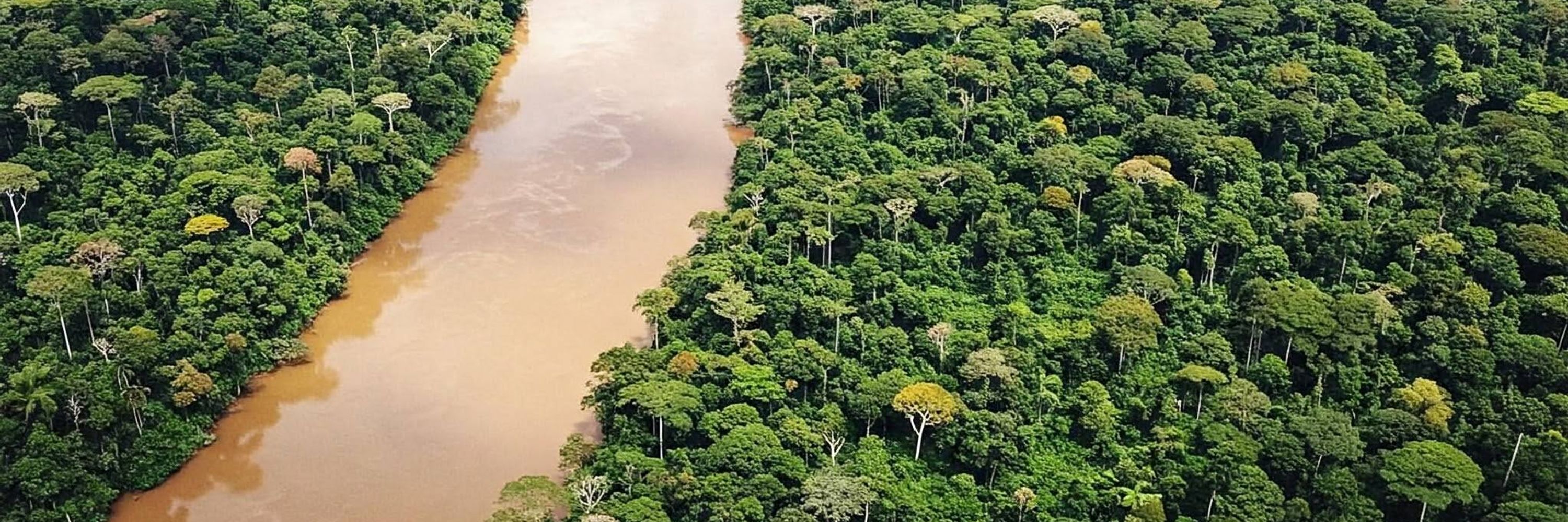 Heart of the Amazon