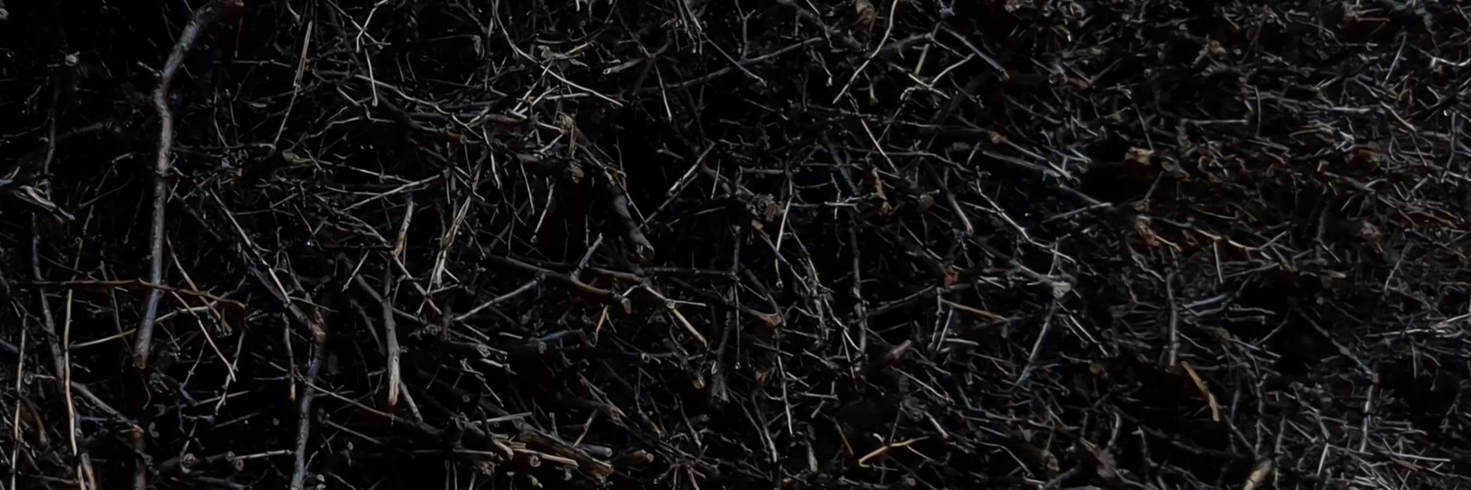 aphelions