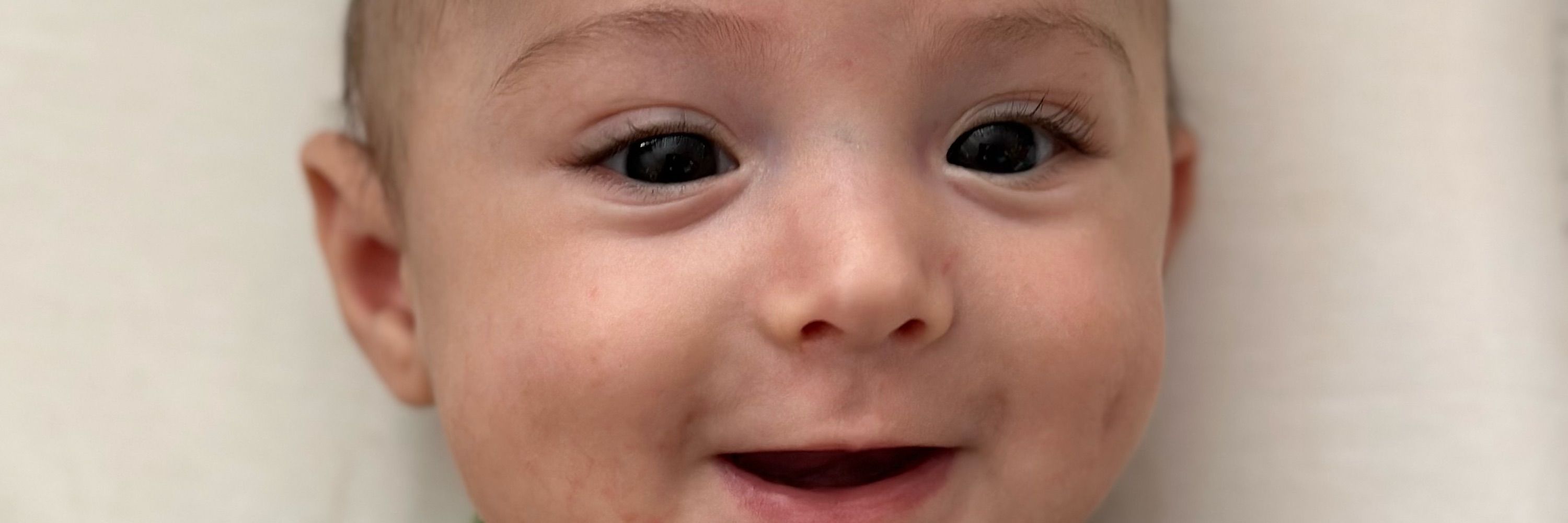 Camilota XP