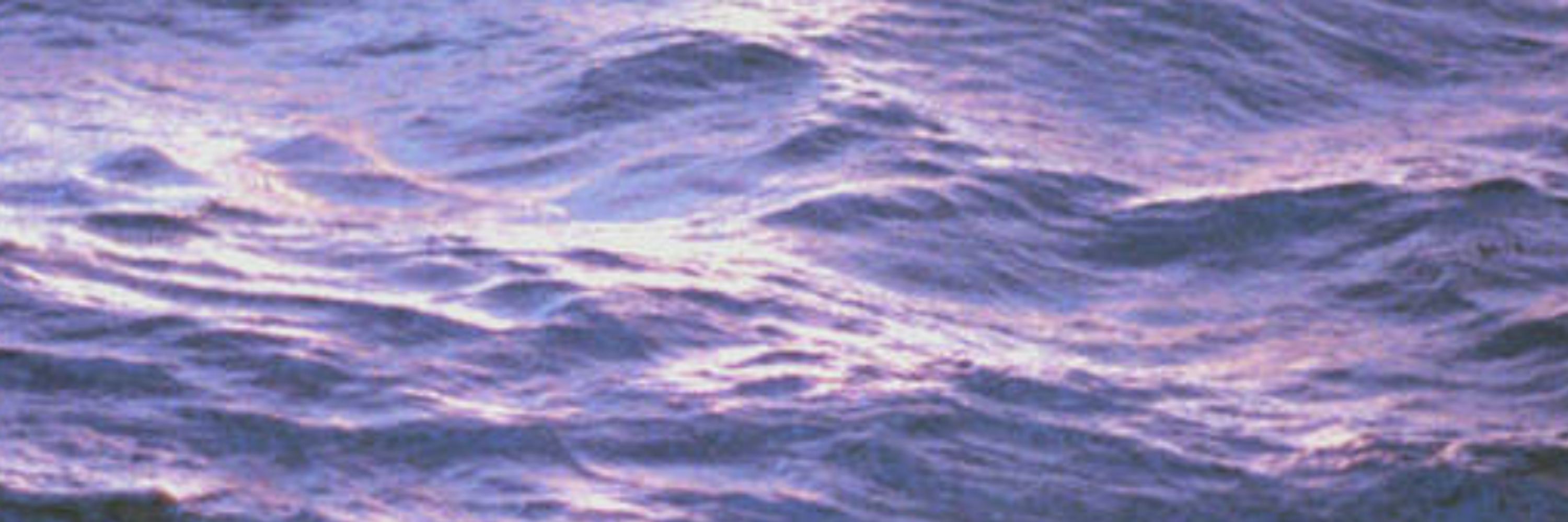 zachwave