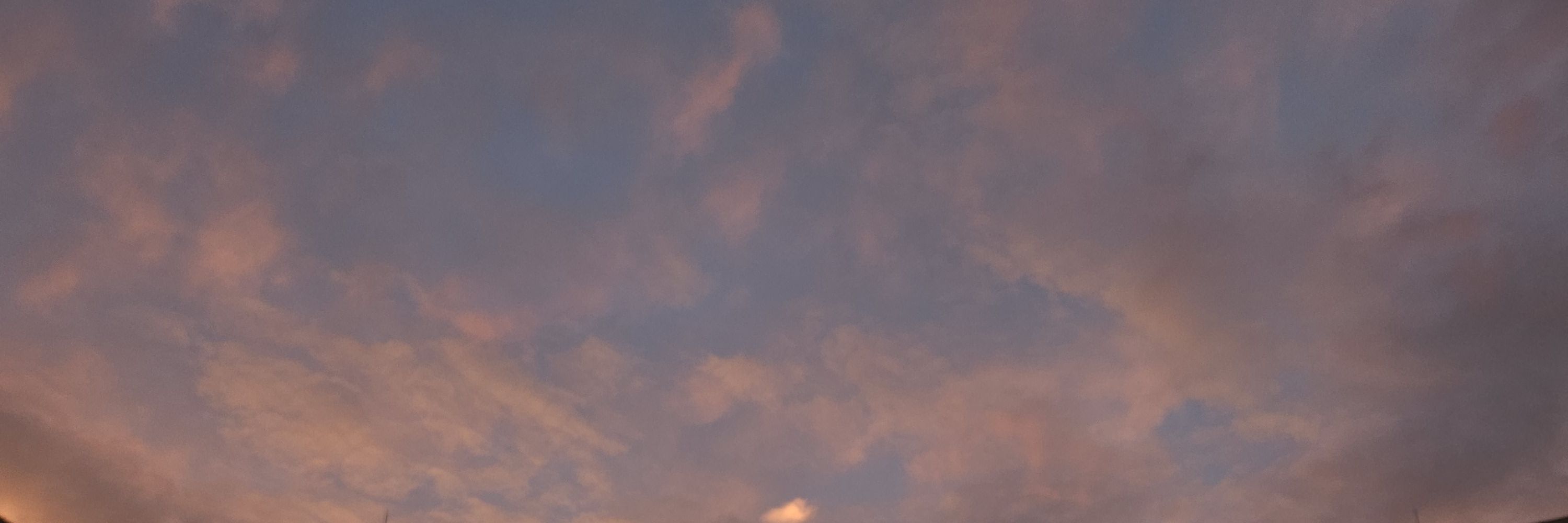 볼