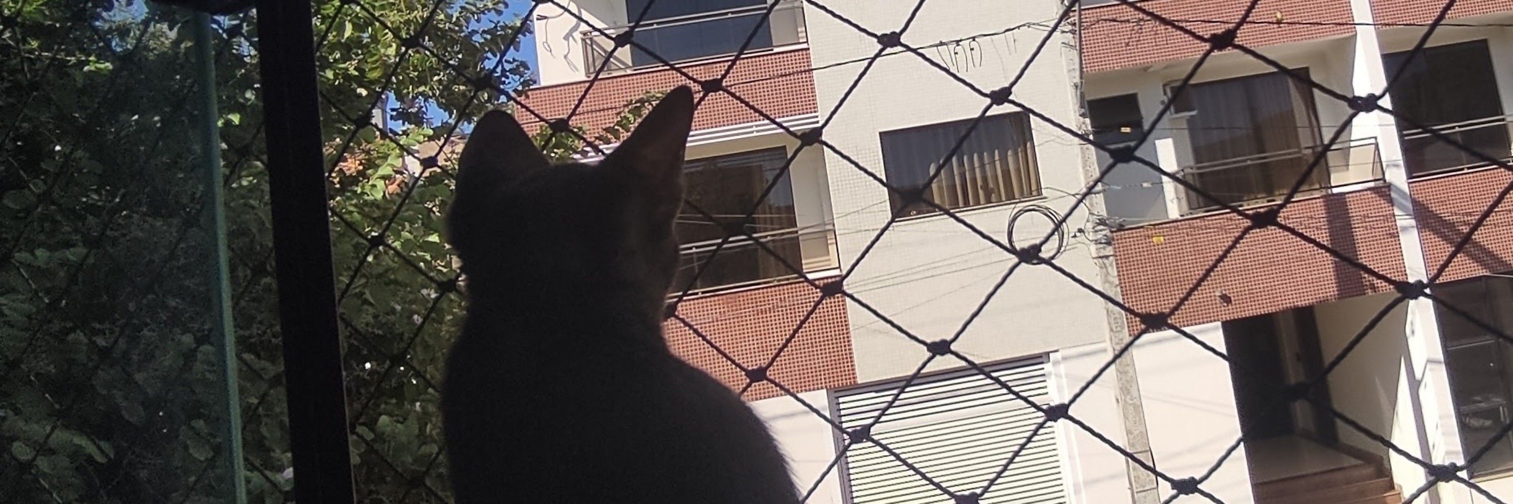 Gabiru