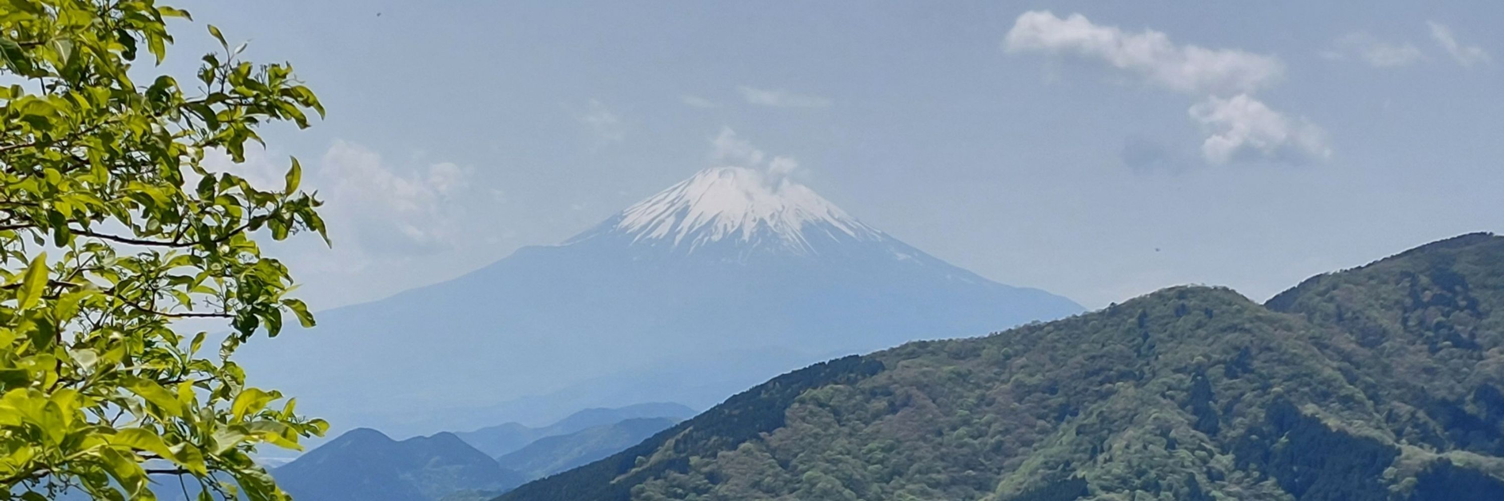 PSI_Nico