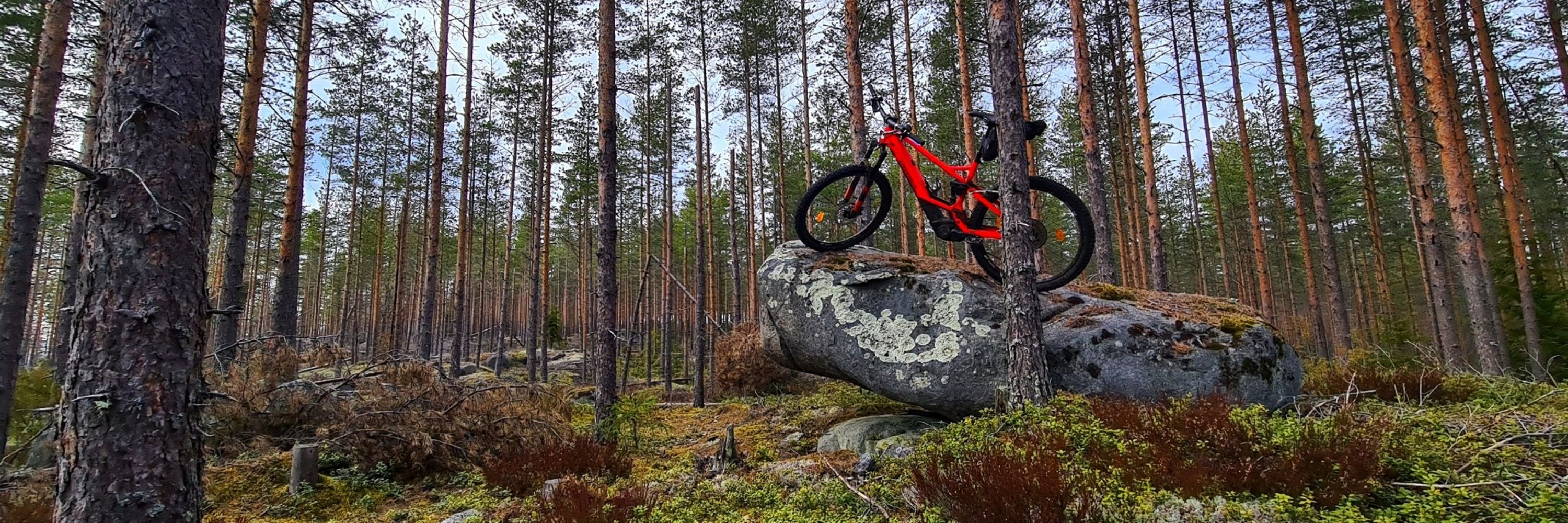 Jani Teppo