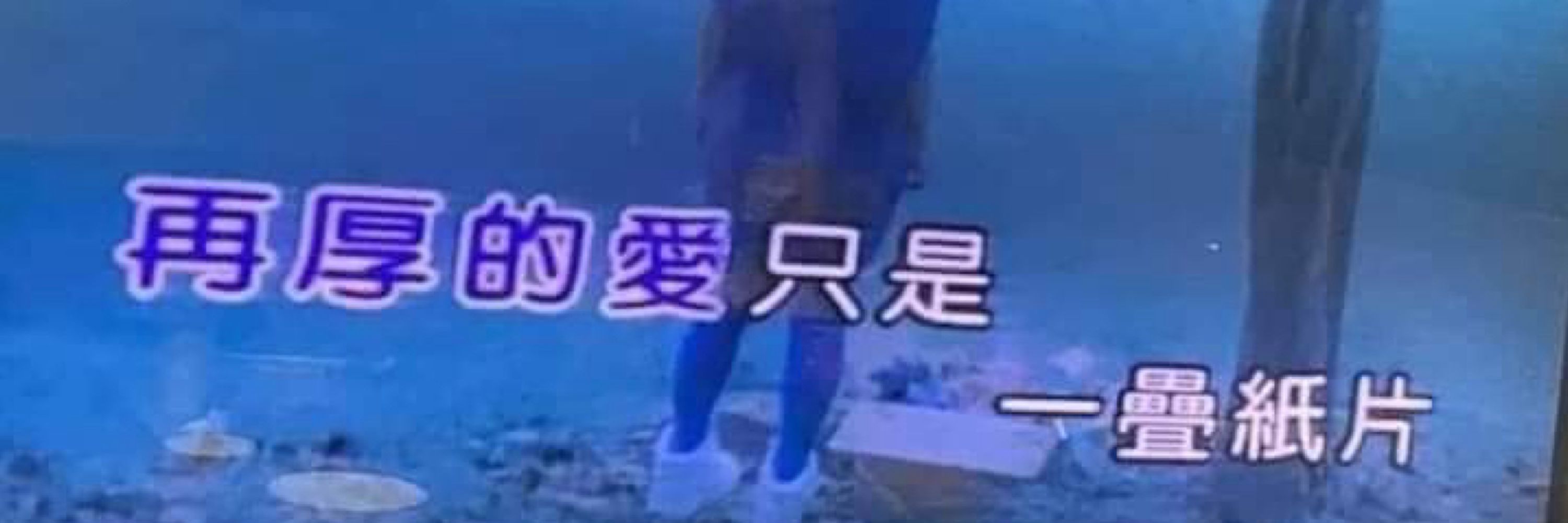 ルイキュ🕊️