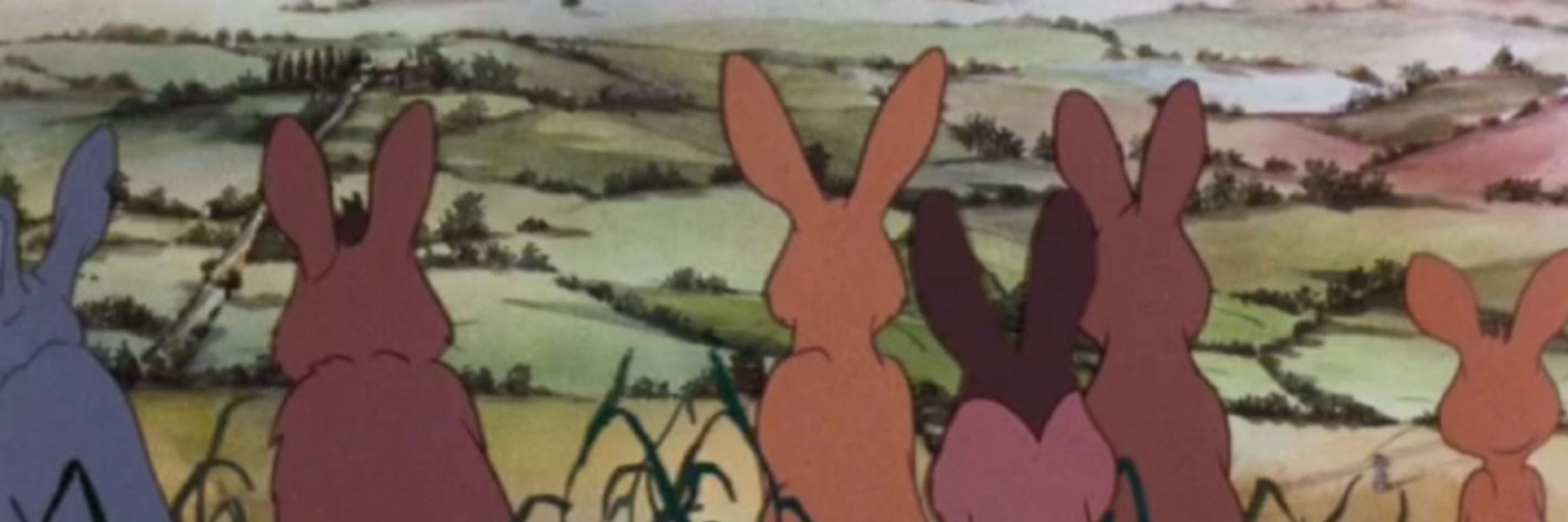Bunny Boy
