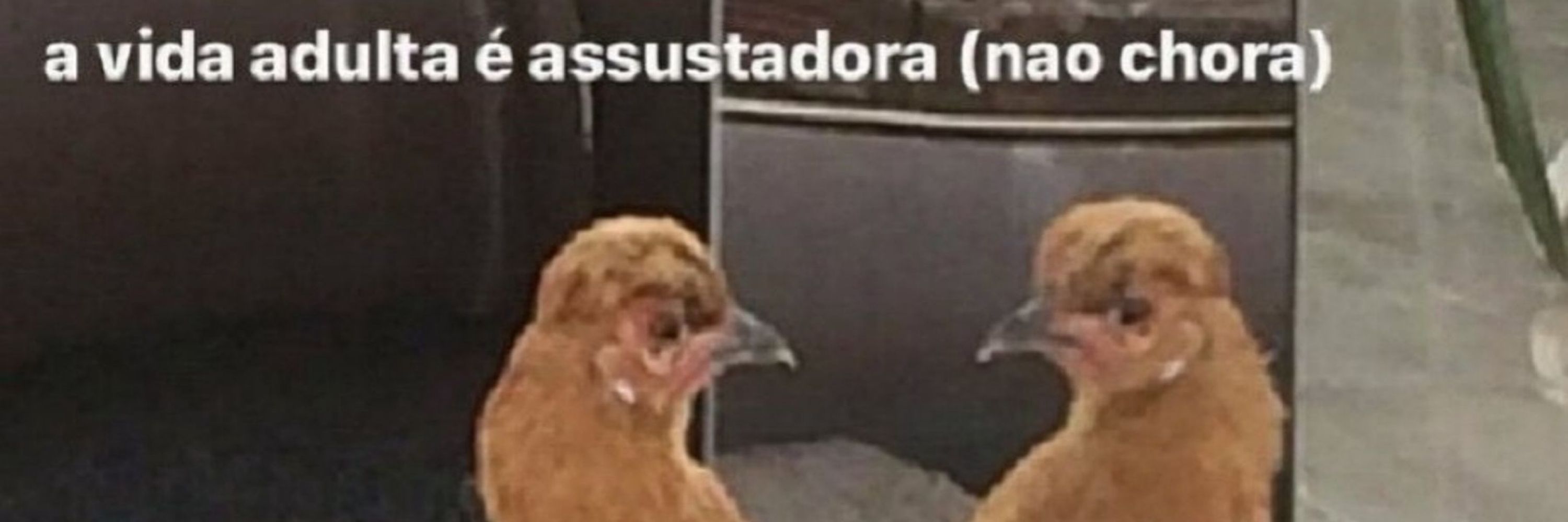 Isabela