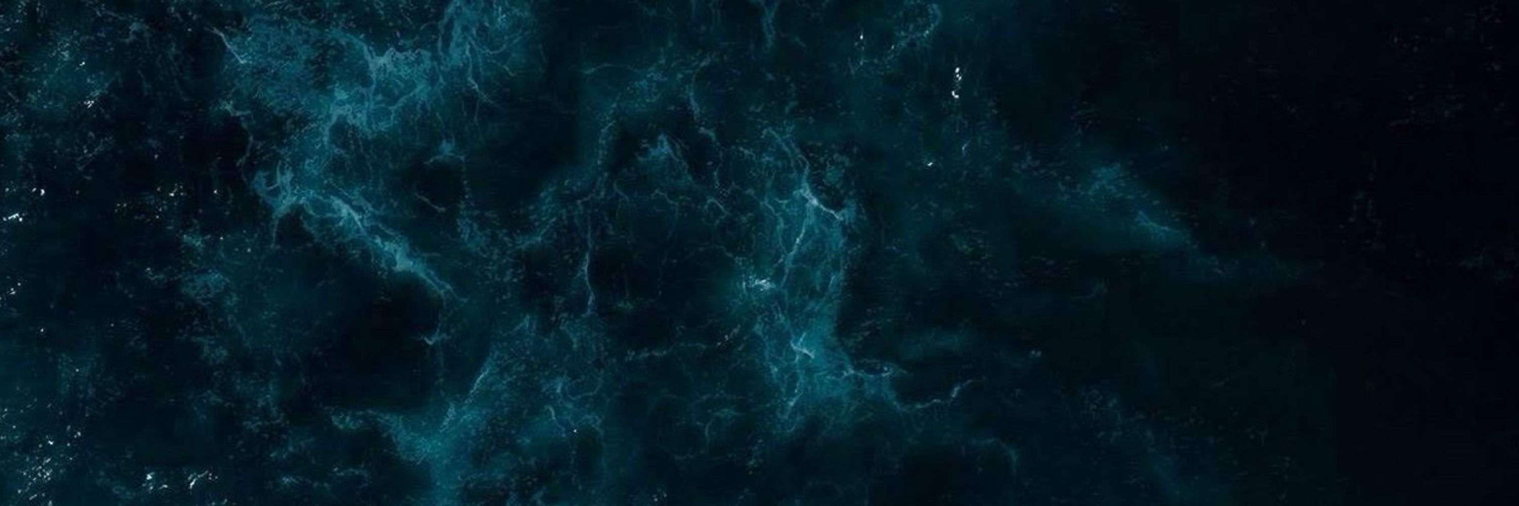 B.