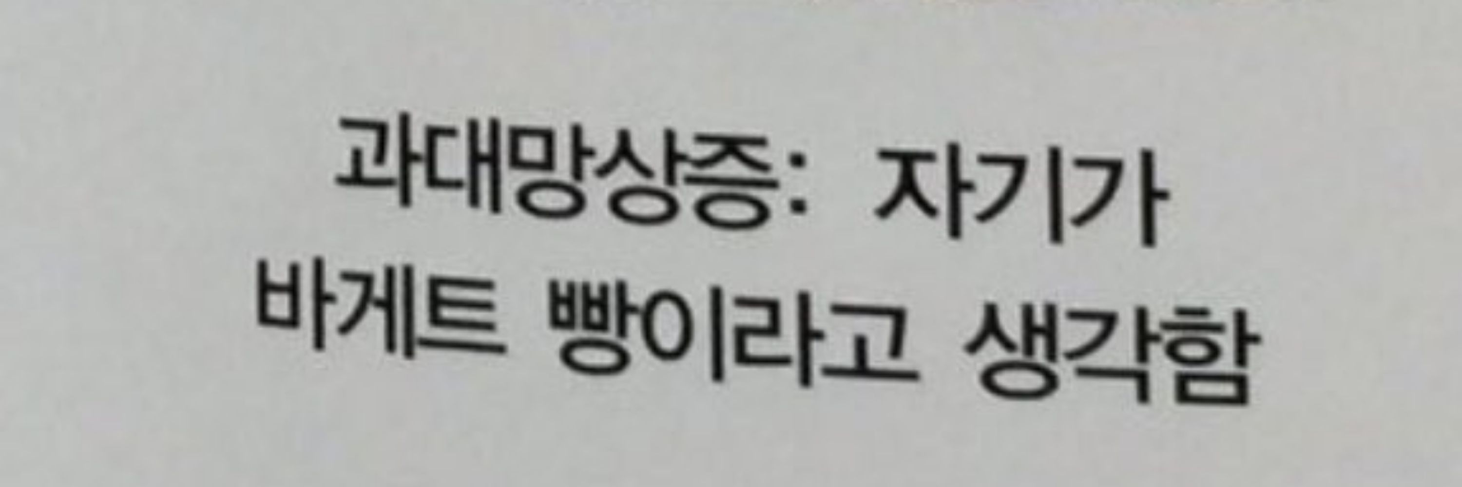 사이버 장의사