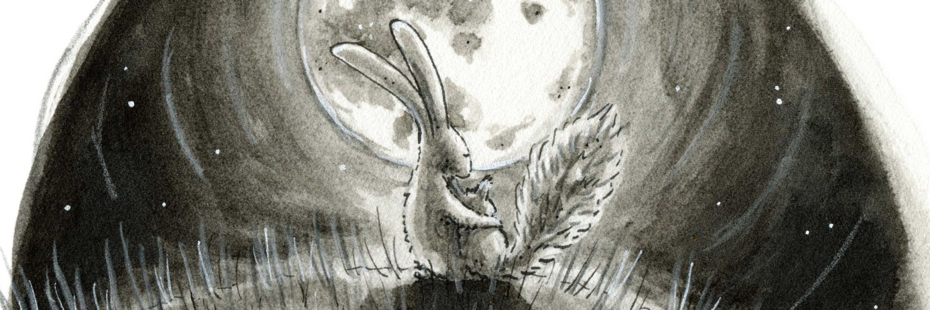 Brigit Hoogenberk Illustrations