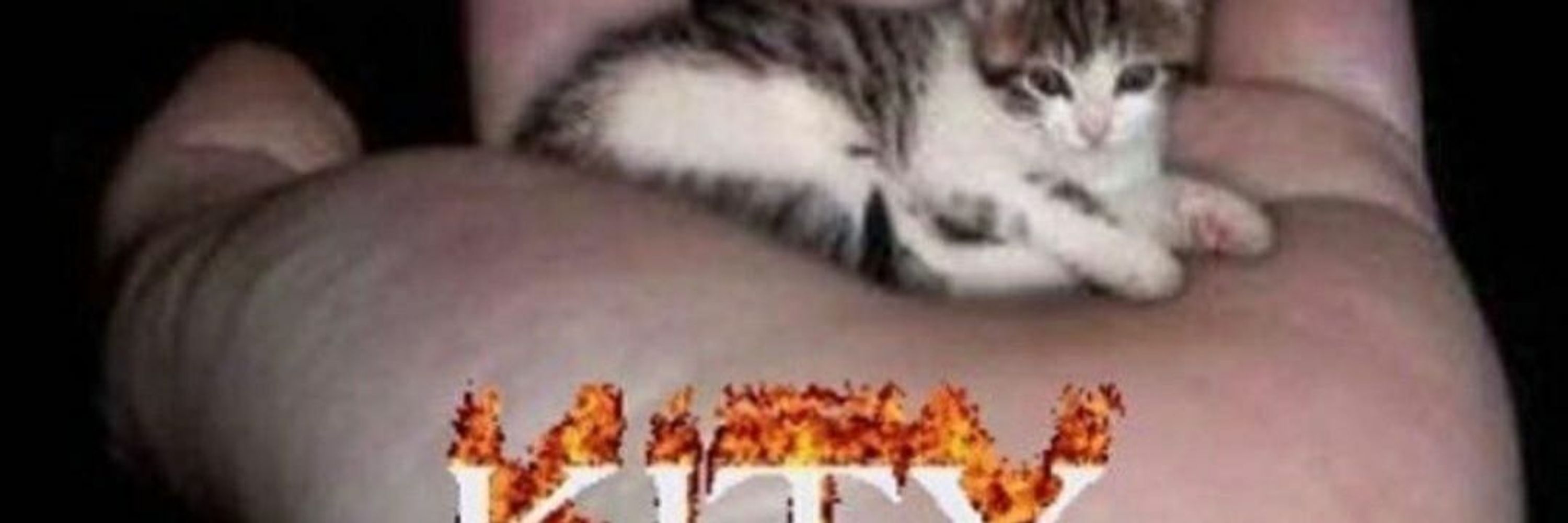 Sirsploit