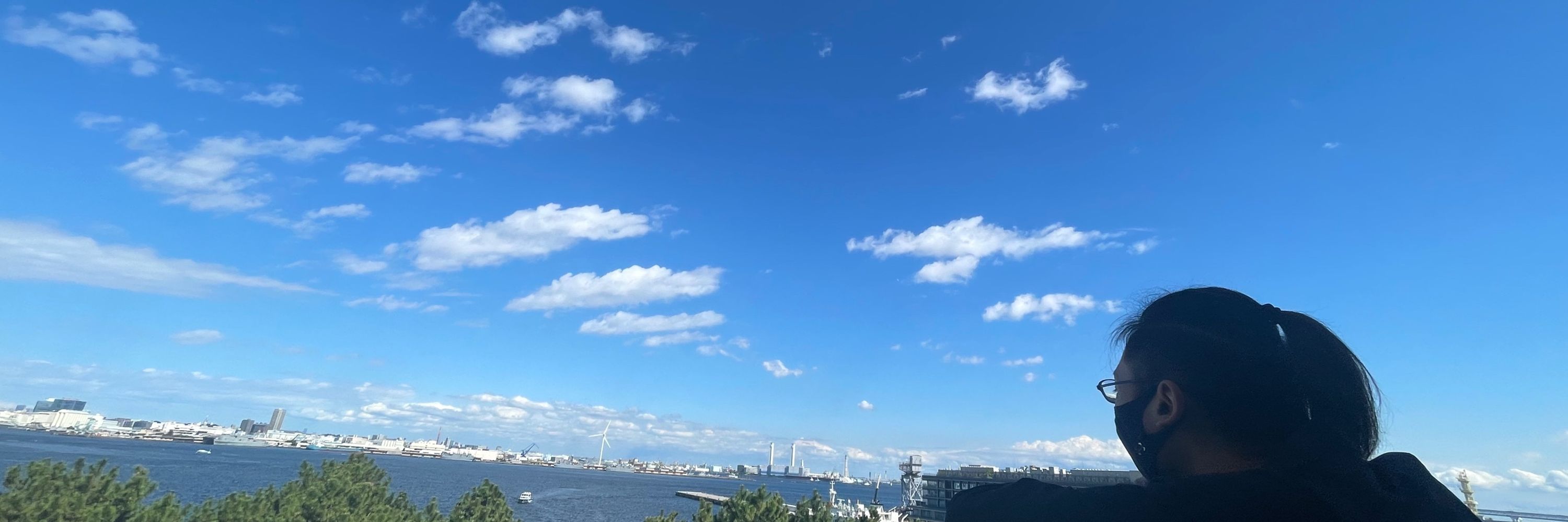 ハル太郎