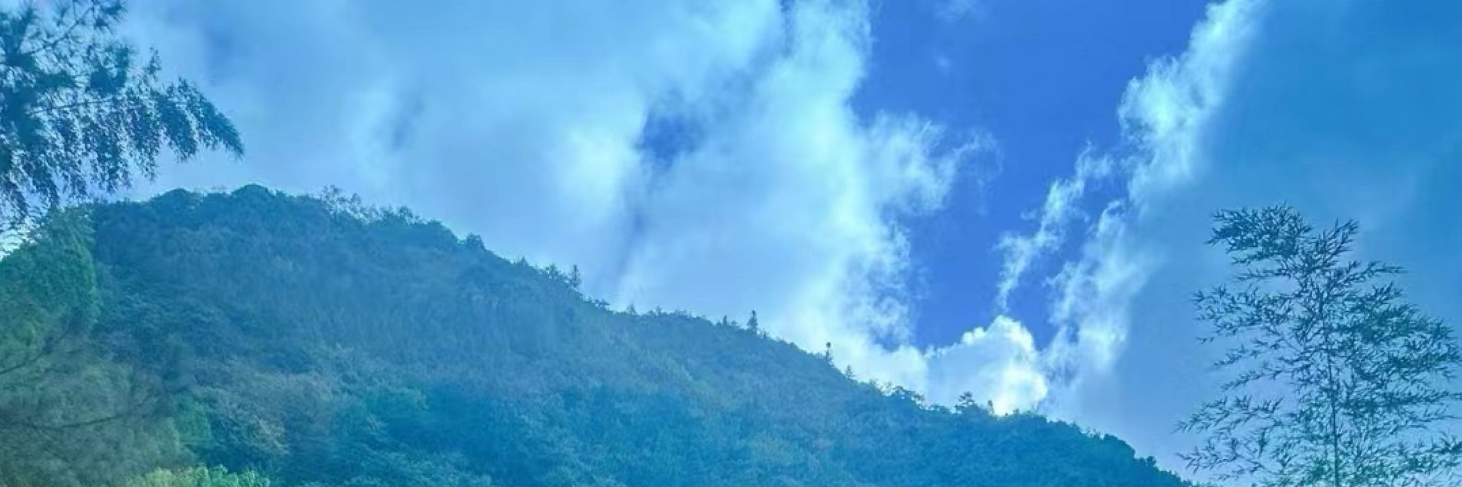 马靓水