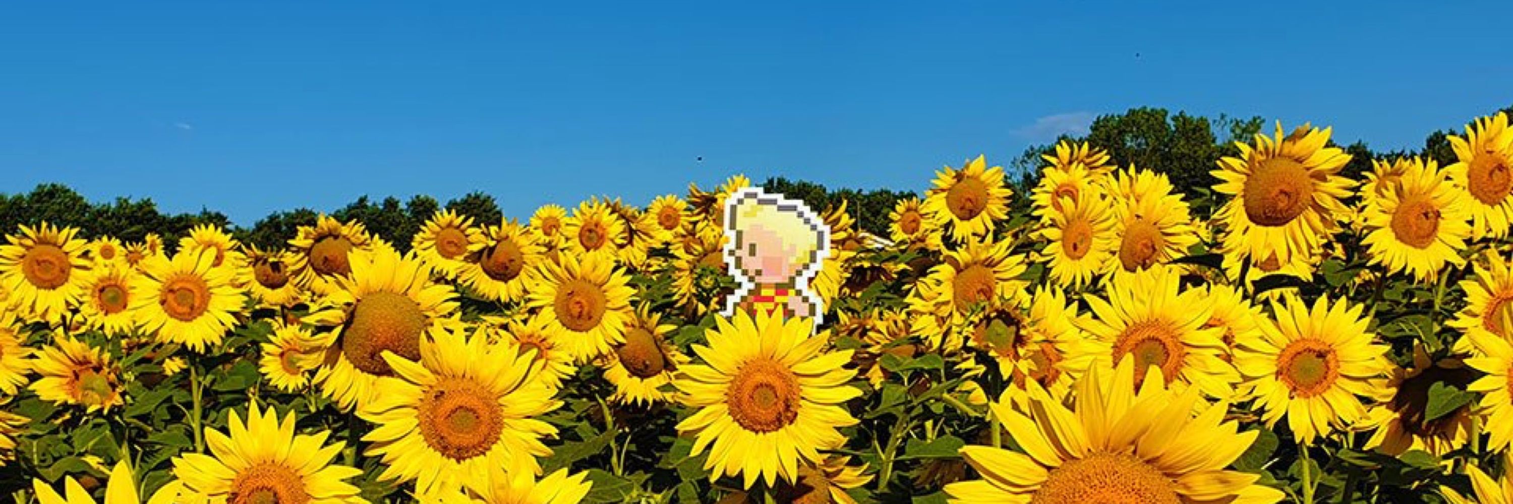 ✮𝕊𝕚𝕕𝕖𝕣𝕒𝕖✮