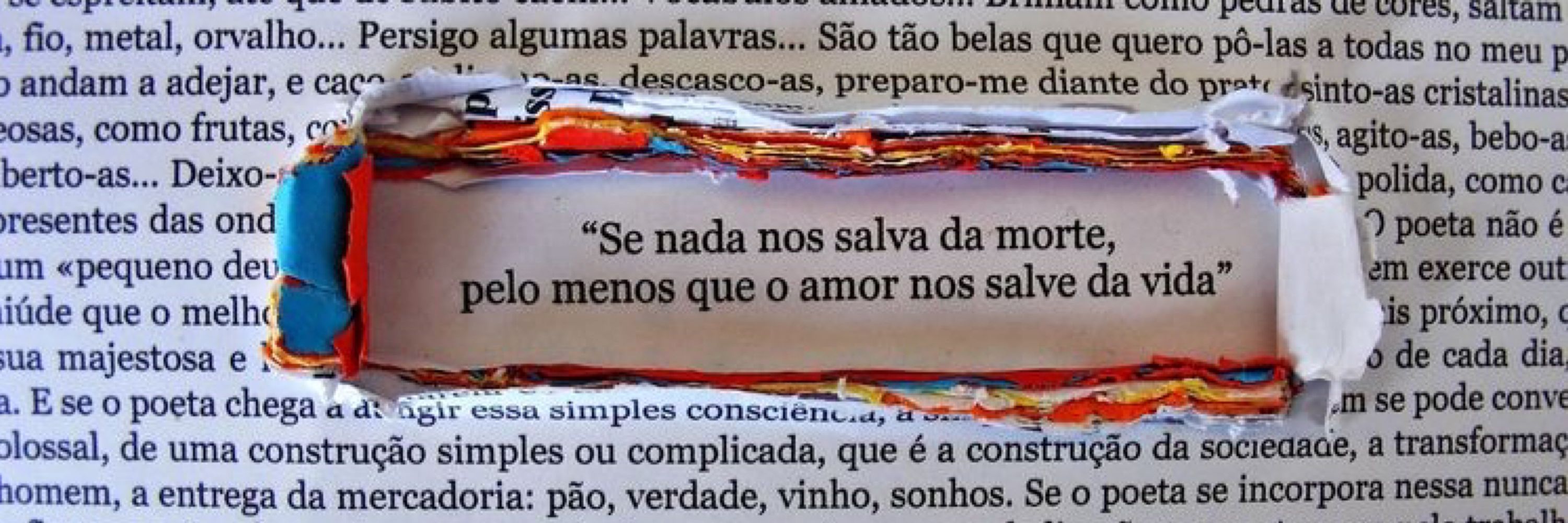 Bruno Bonfim