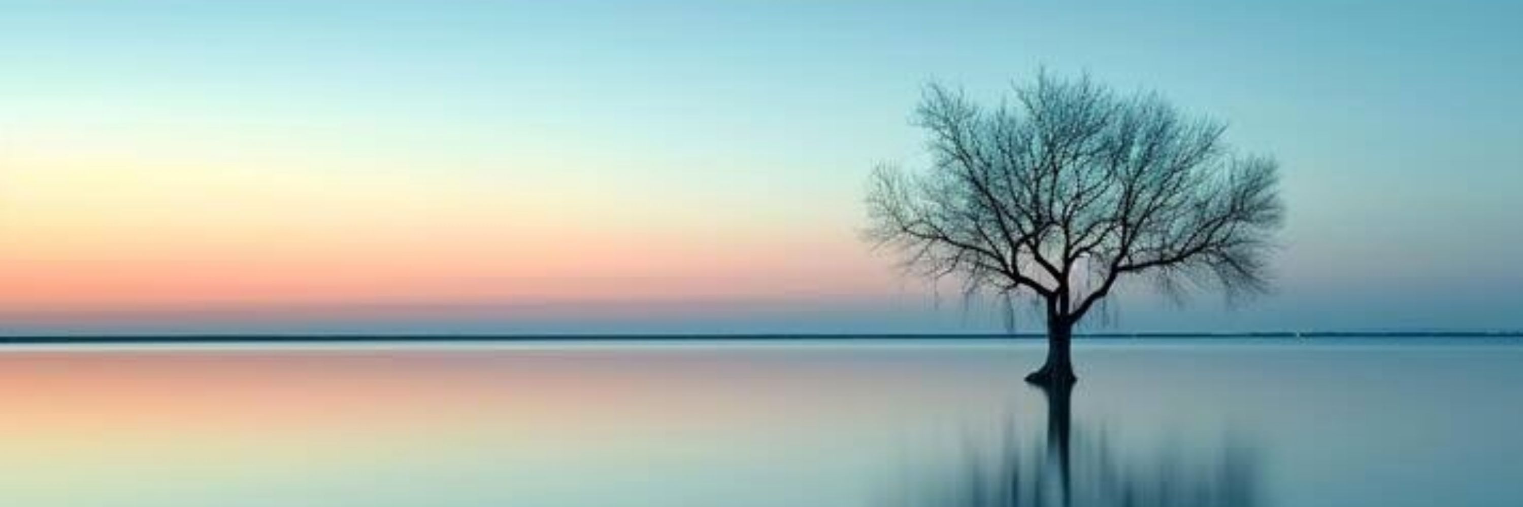 R4F43L