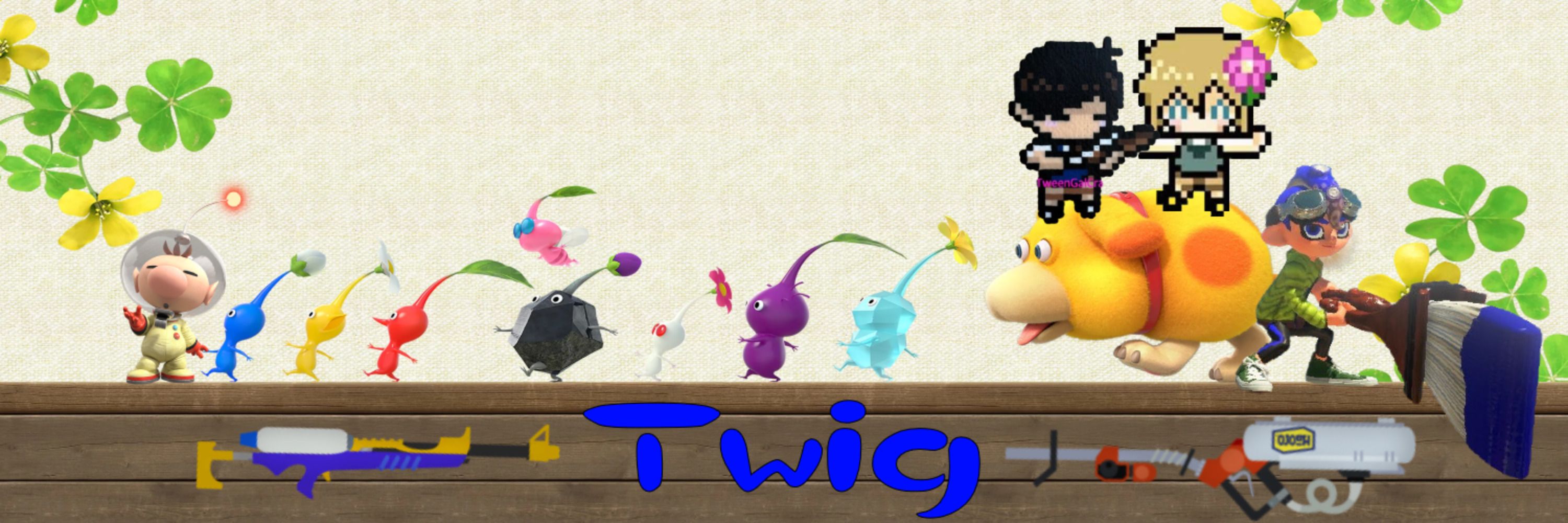 Twig