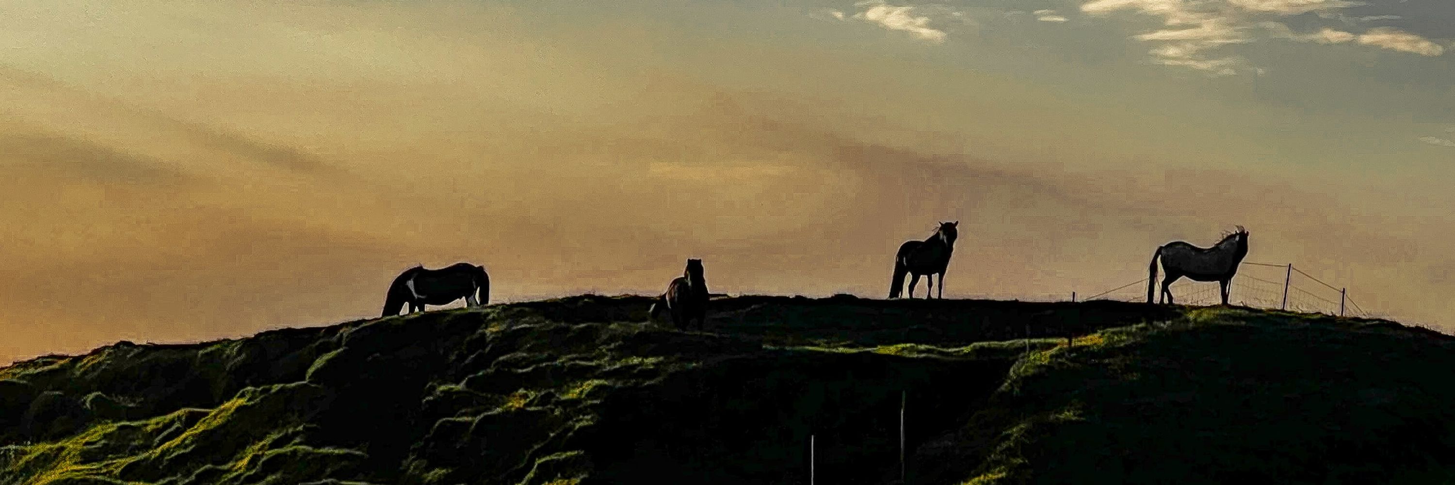 Atli Sigurðarson