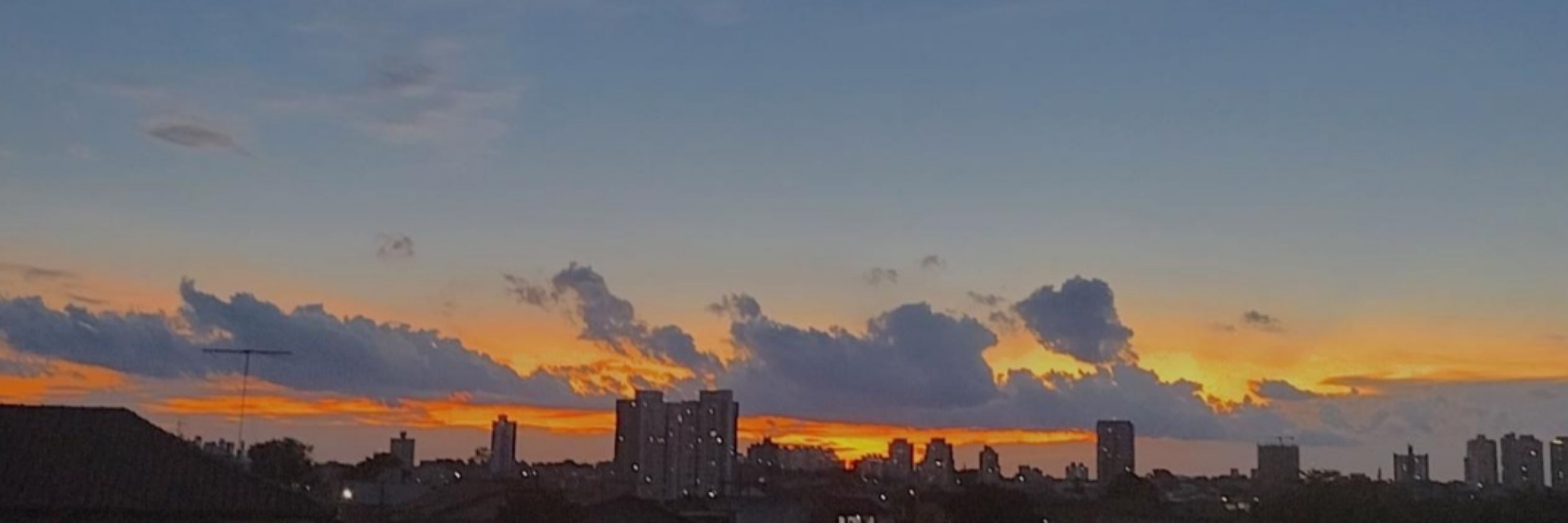 Bibia