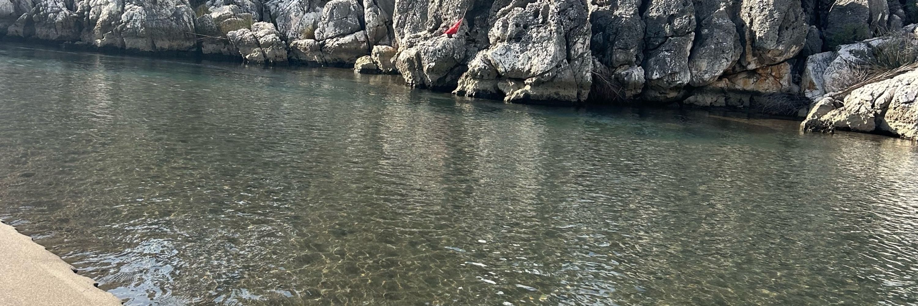 Aşkın İsak