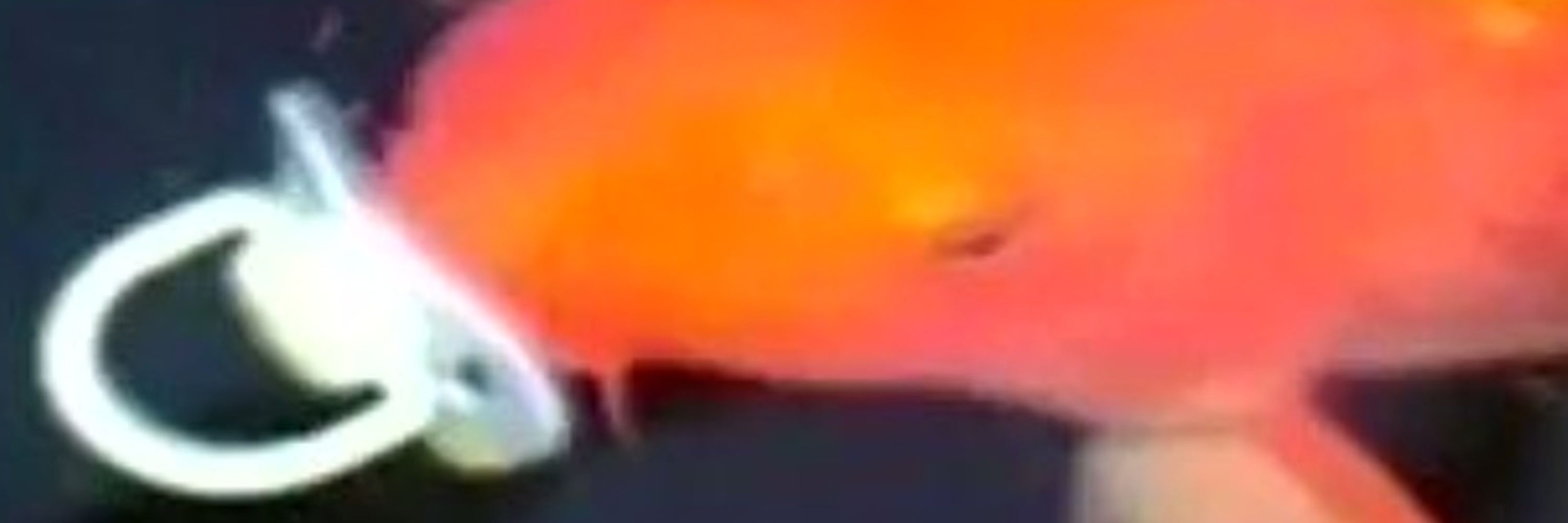 ViloInsane