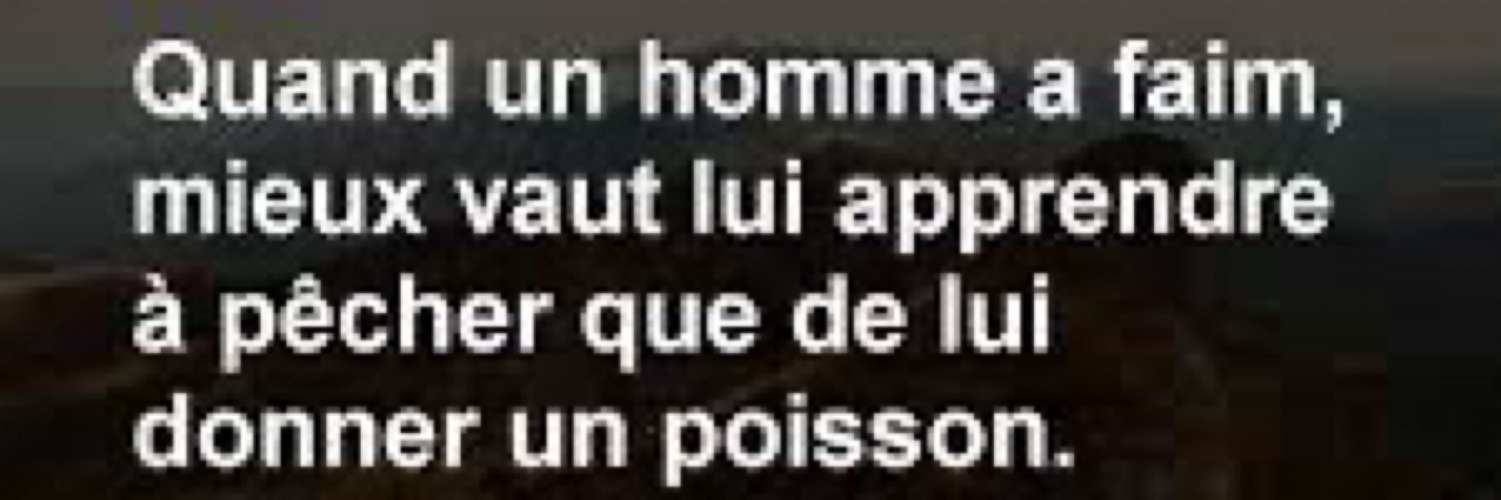 Le geai mots-au-coeur