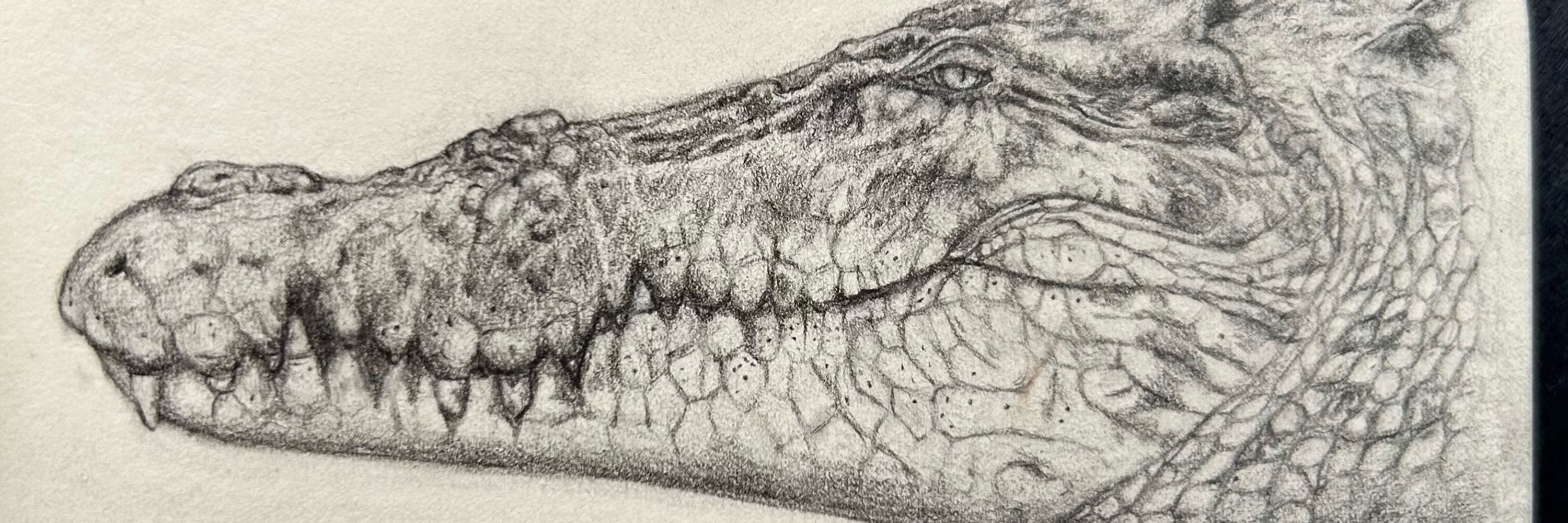 Metasuchus
