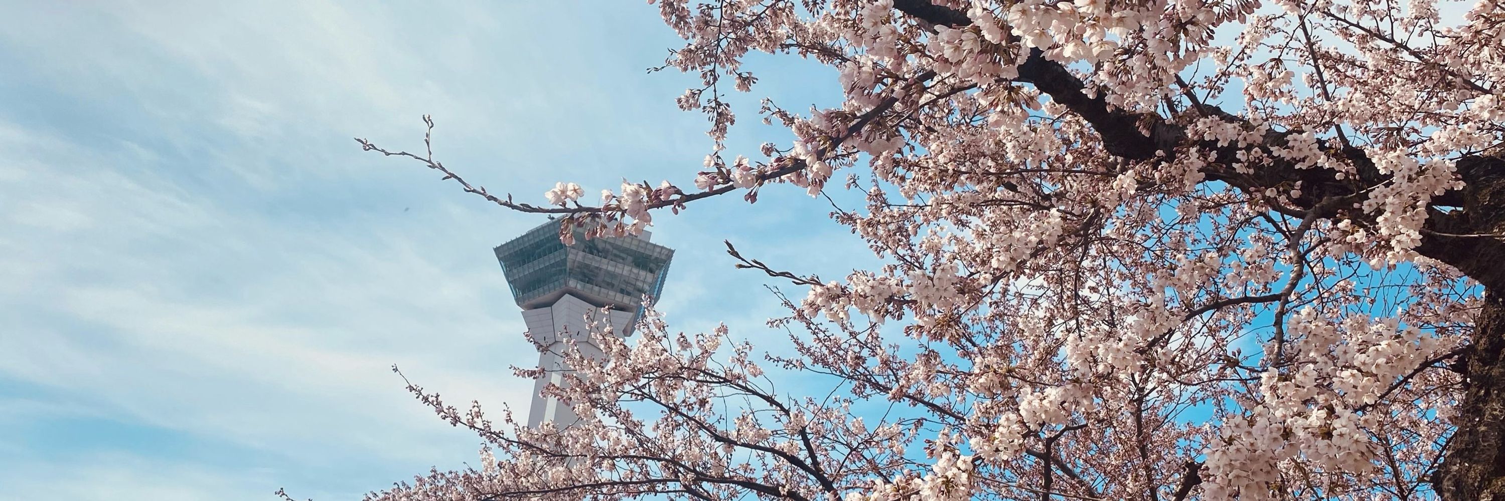 サンタ•レン