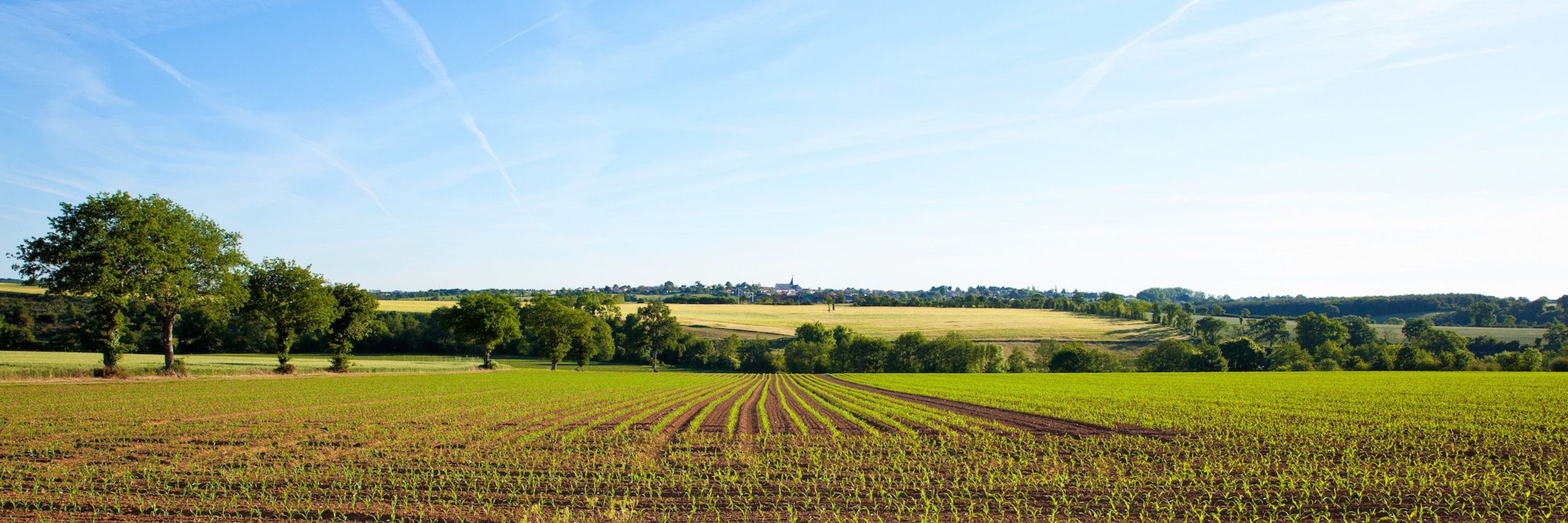 Bioenergy Europe