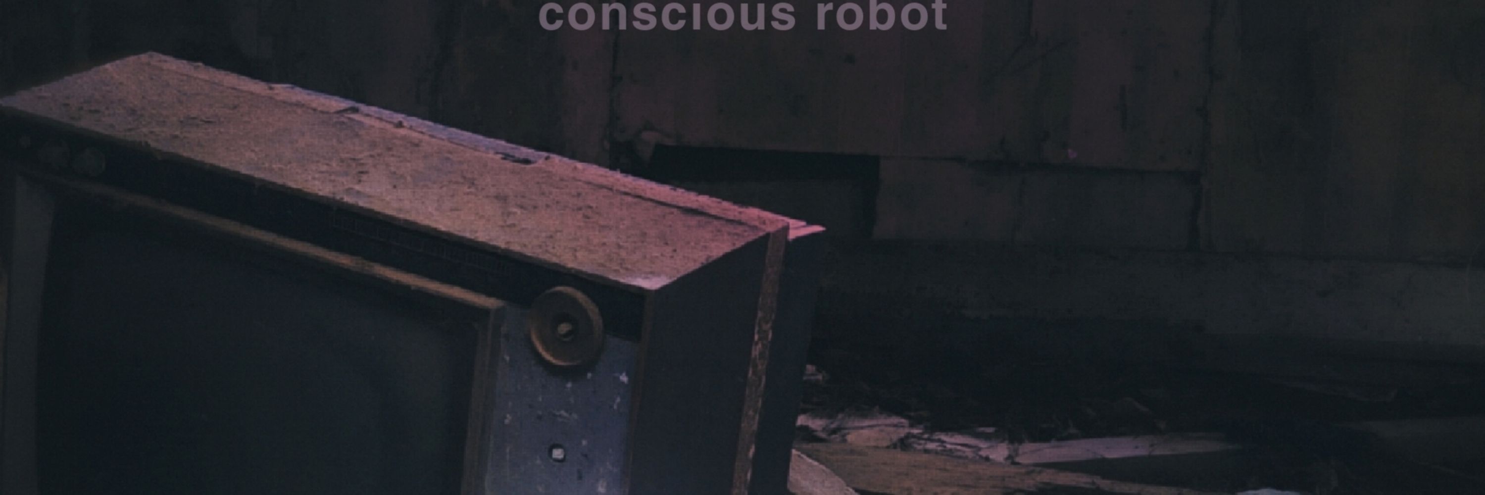Conscious Robot