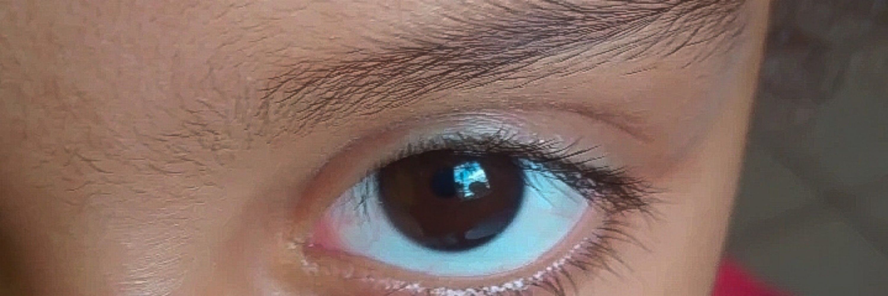 Lau
