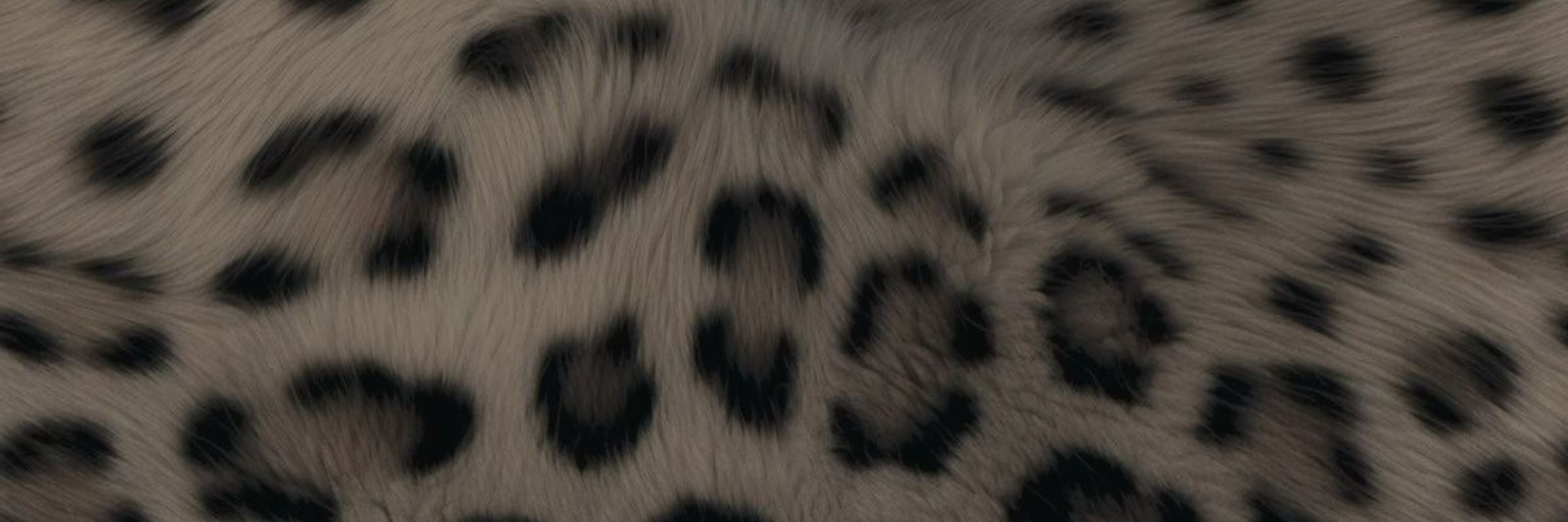 pandi lee <3