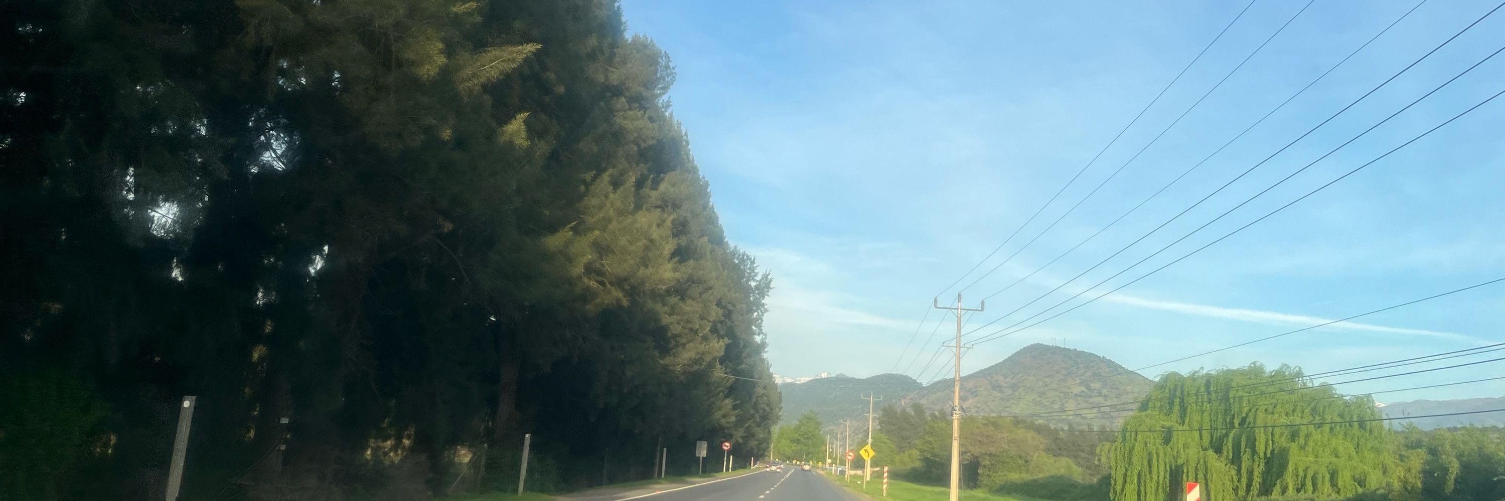 Pedro04035
