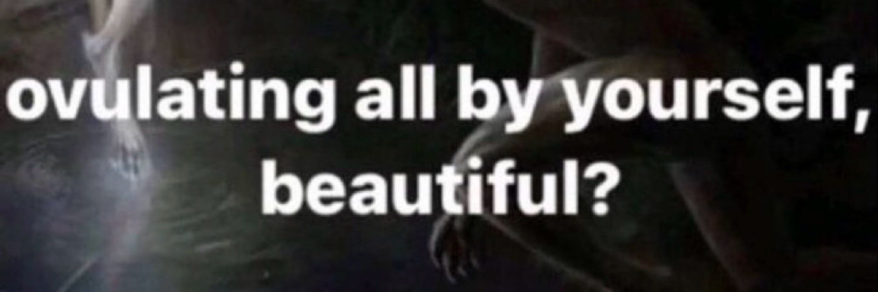 cc