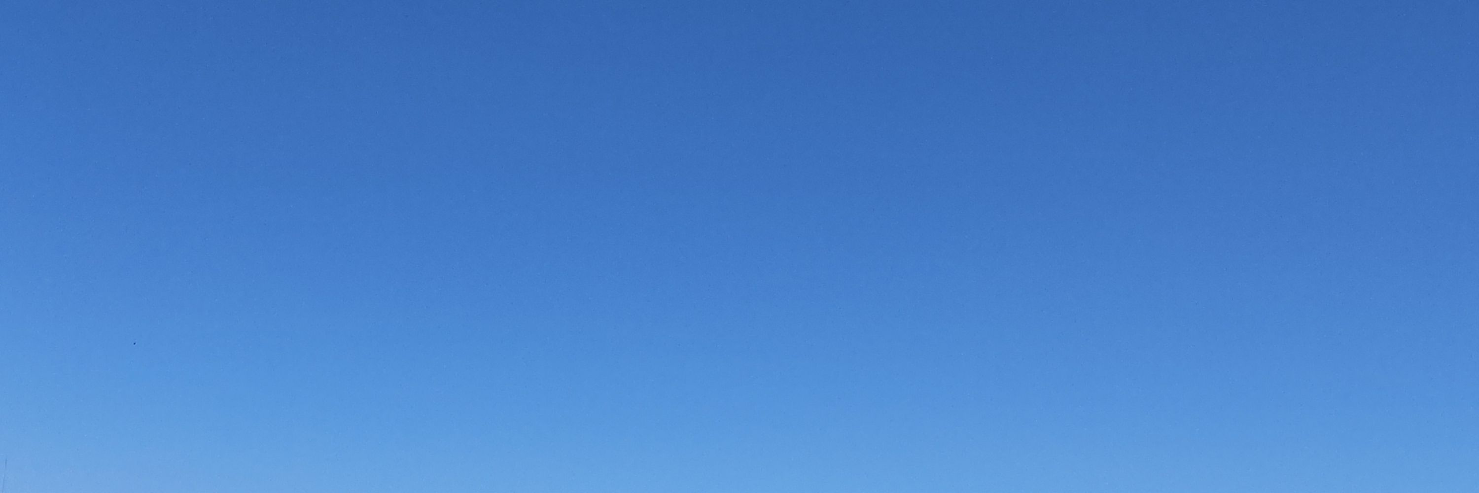 和田繭子.bsky.social