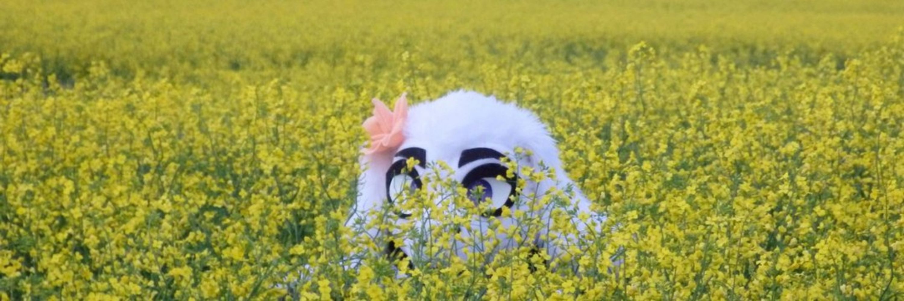 𝕀ntra