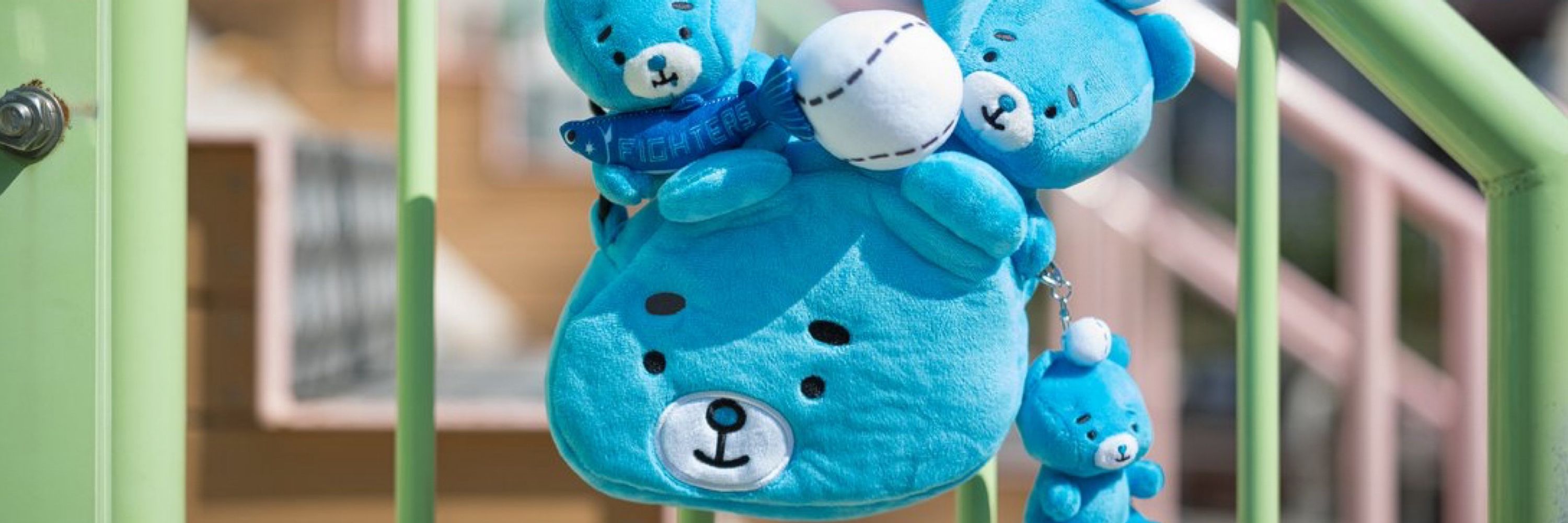 あめくま🍬🐻