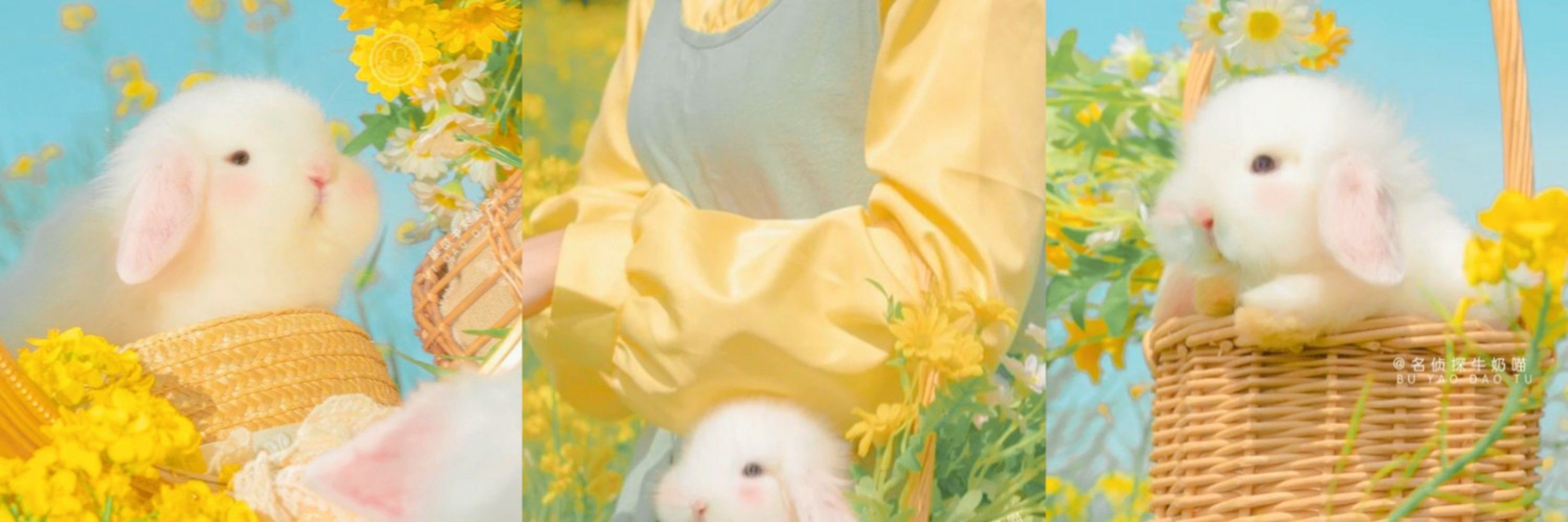 Ar.
