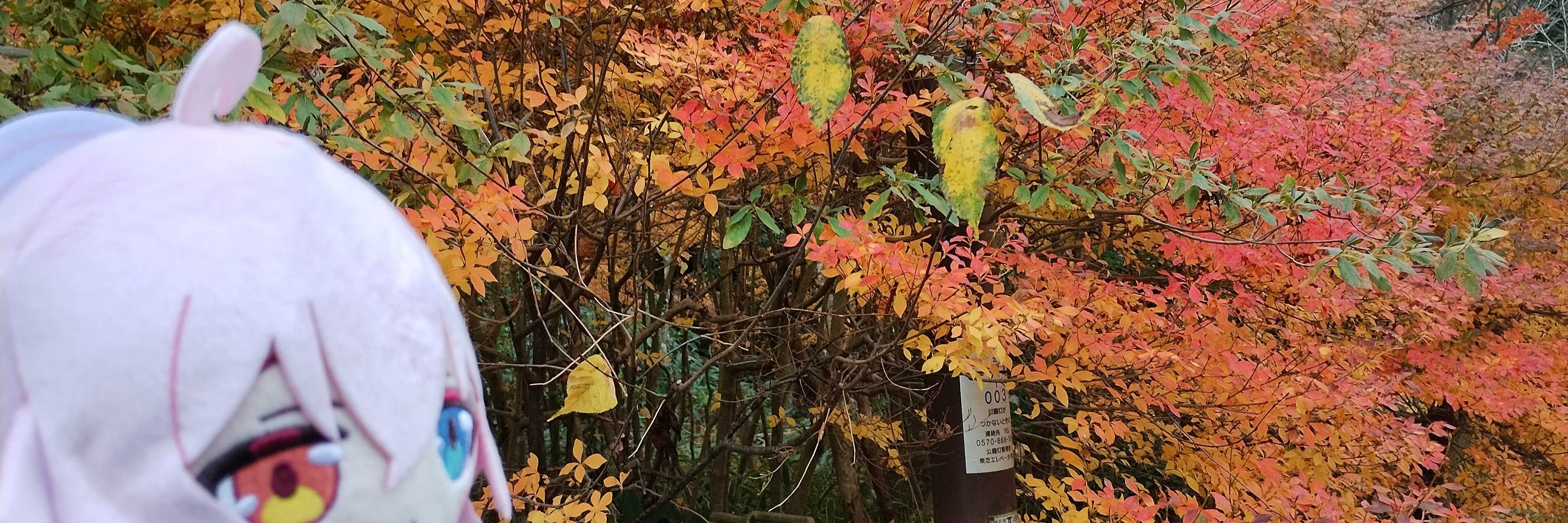 はび石