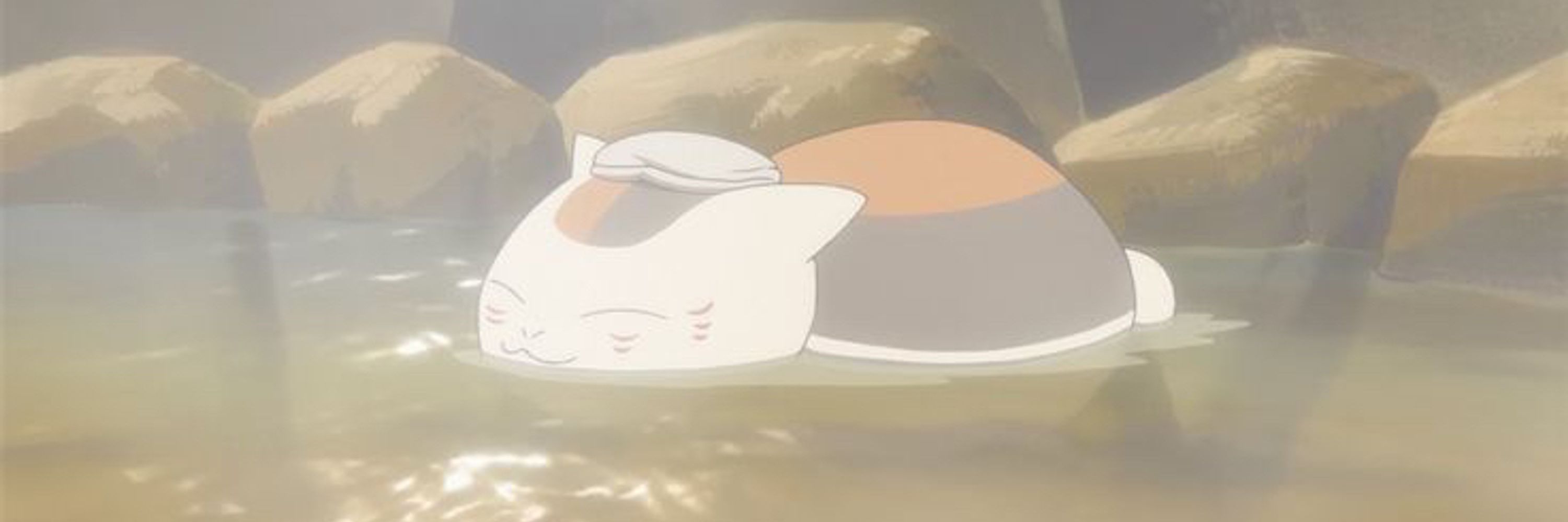 u.u