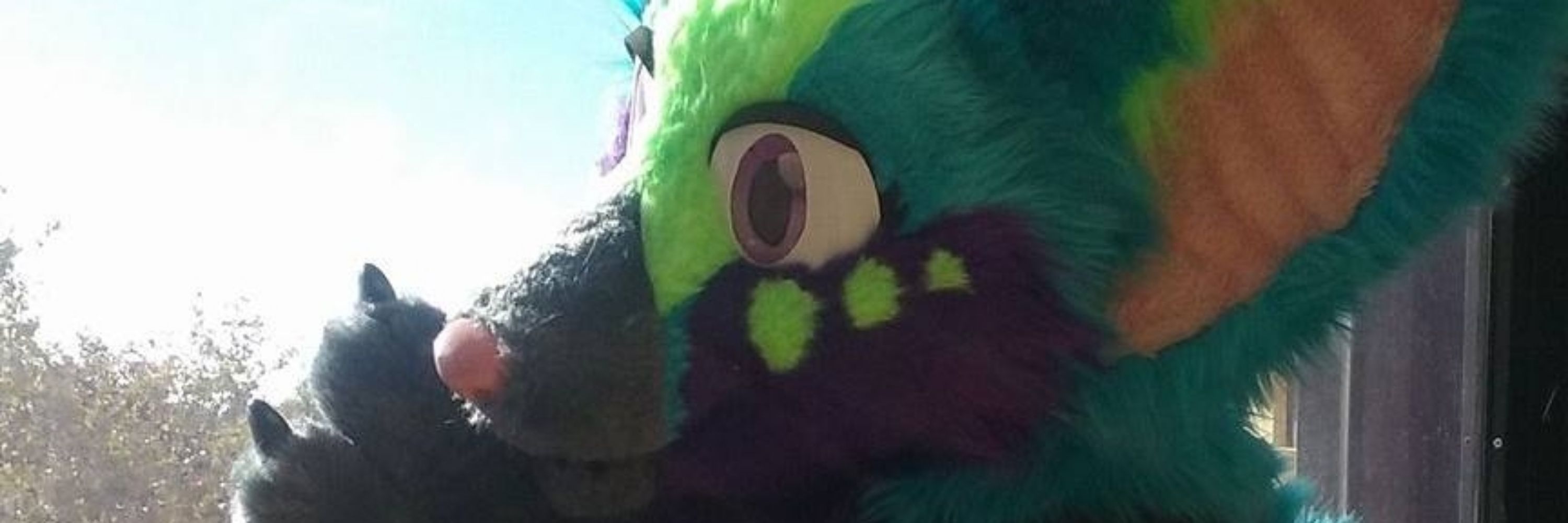 Fins2fur