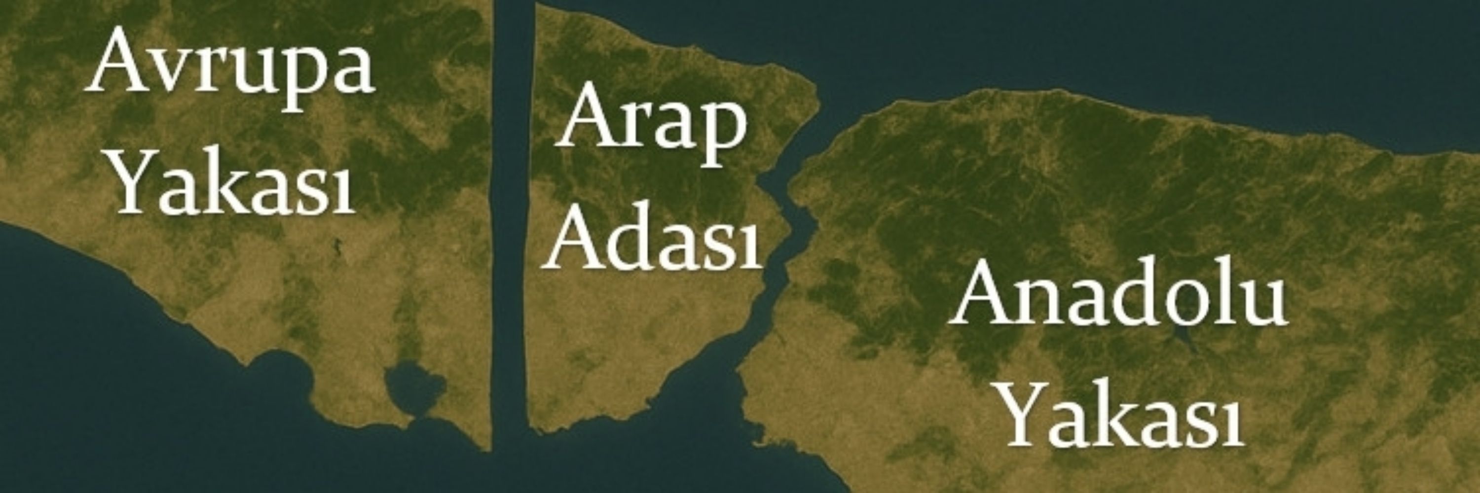 Cop_idi