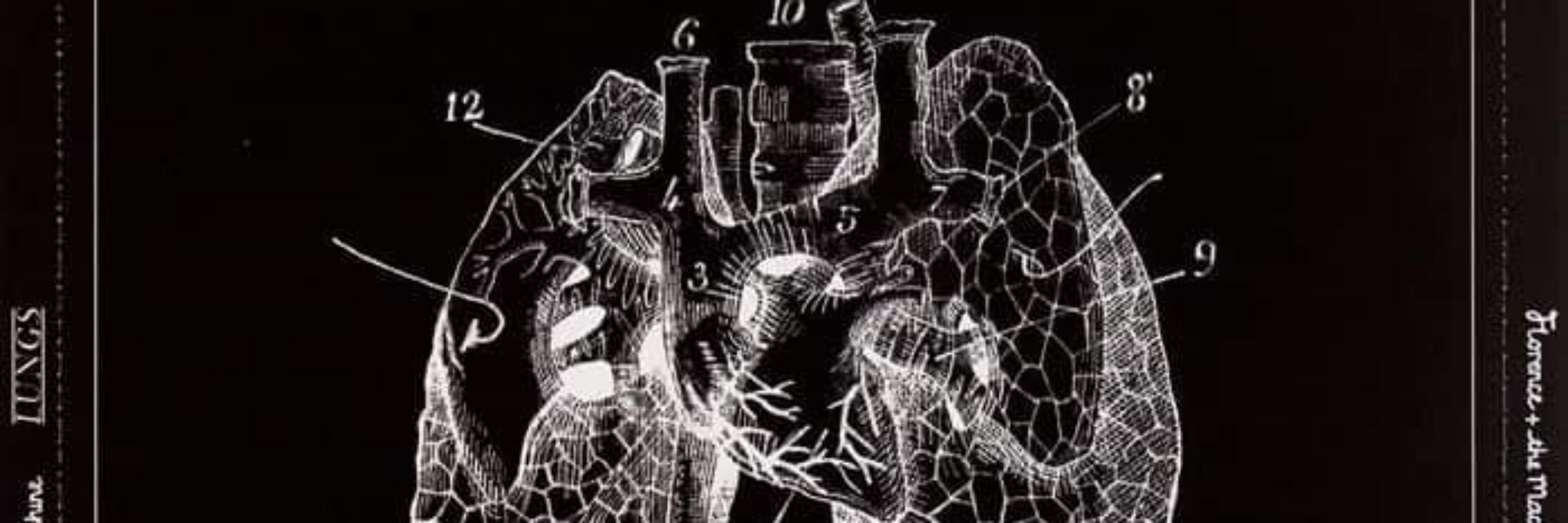 Lux 