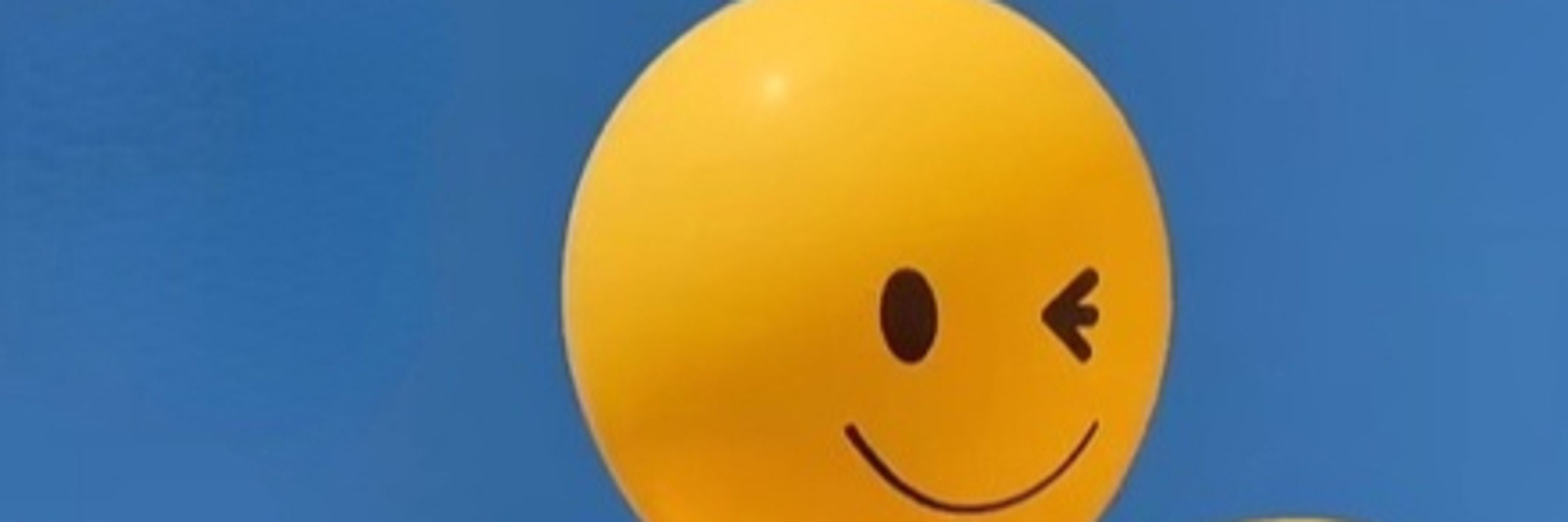 yim.yim