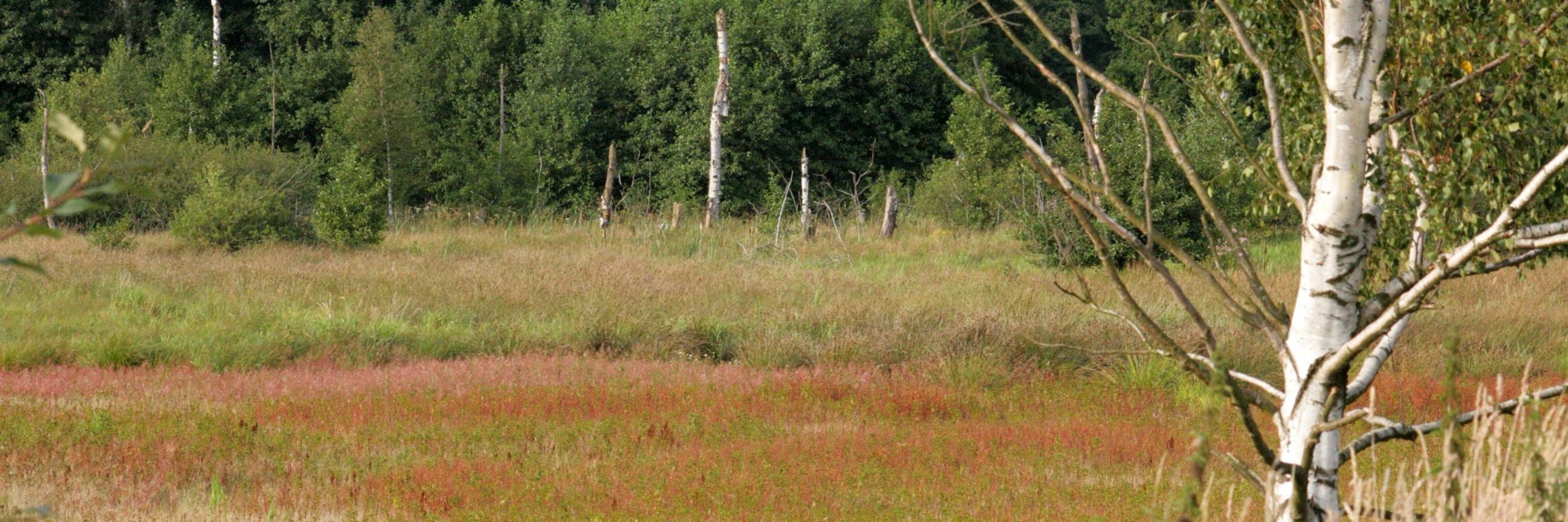 Hunting Hub