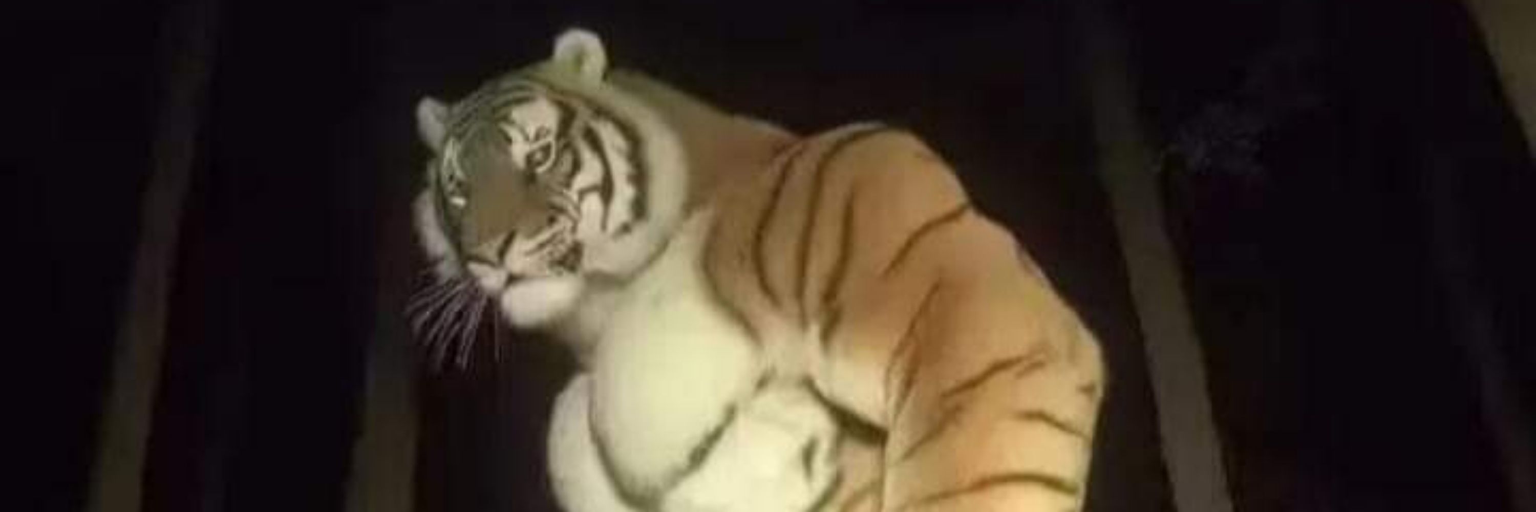 Azu