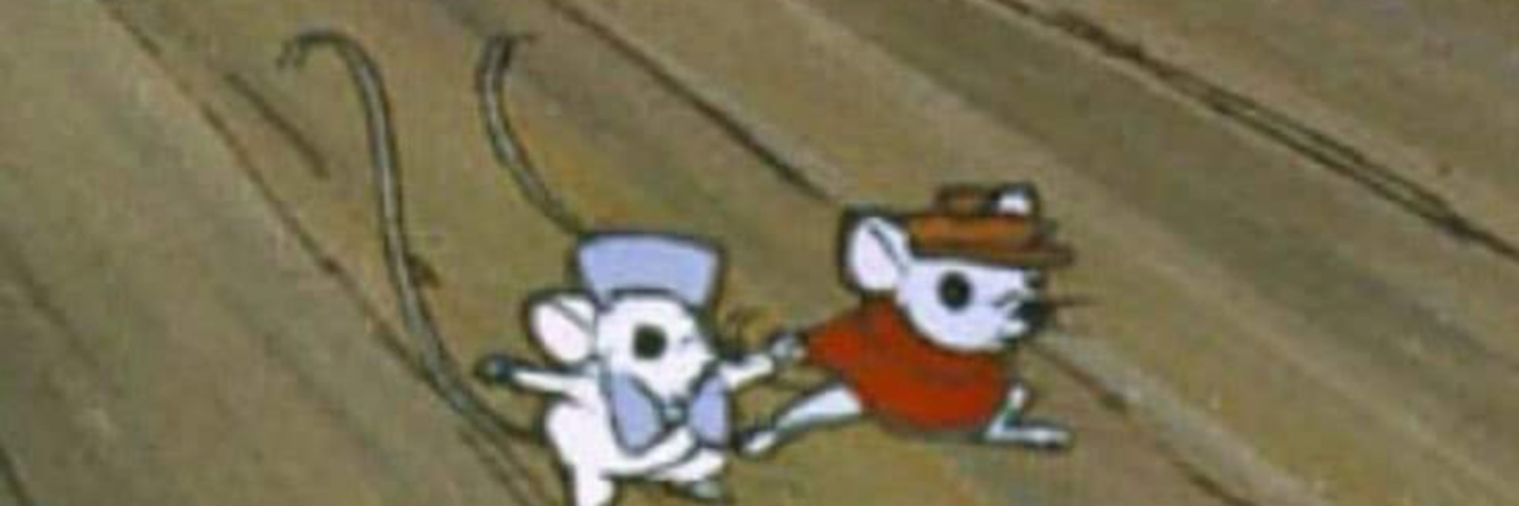 GallowsKittens