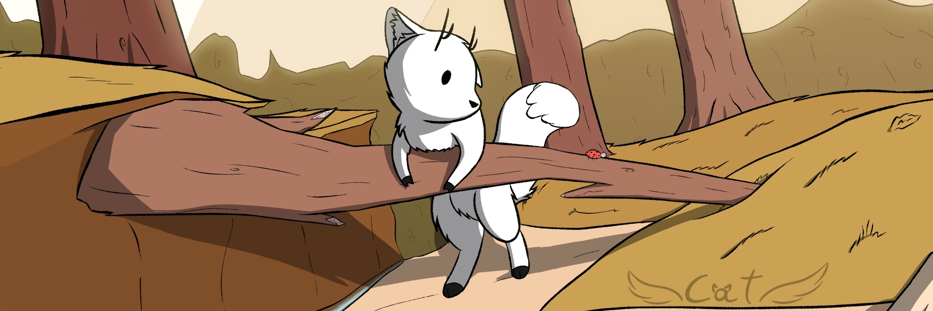NoirCatto