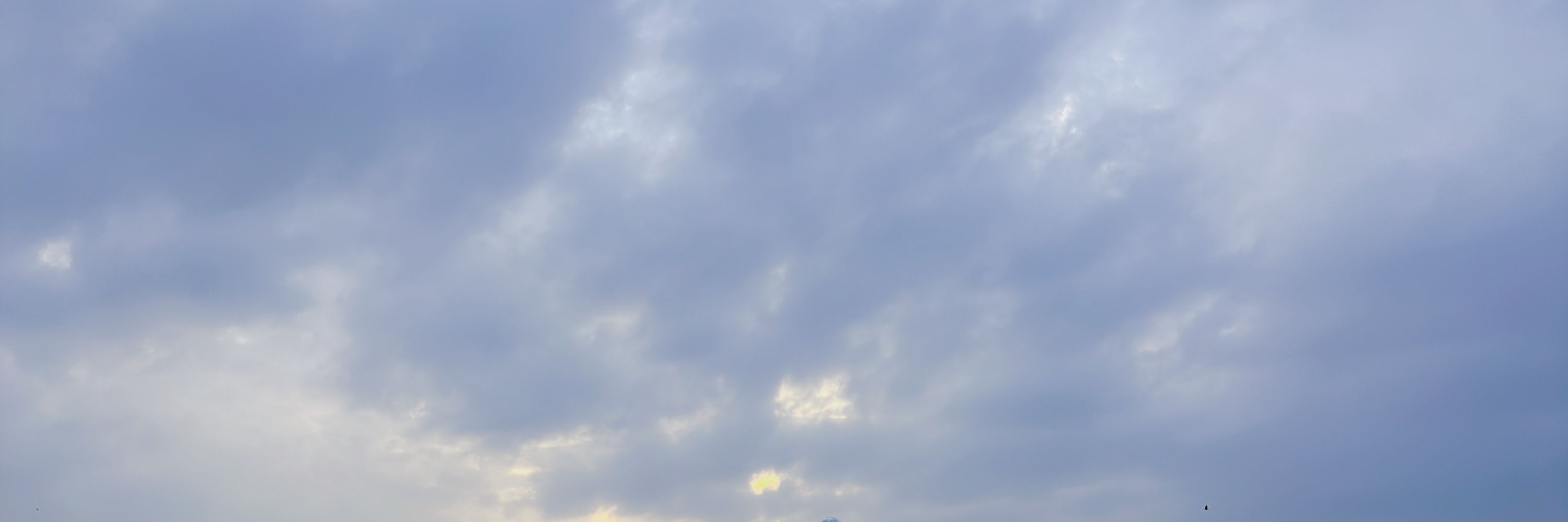 倉下夏芽